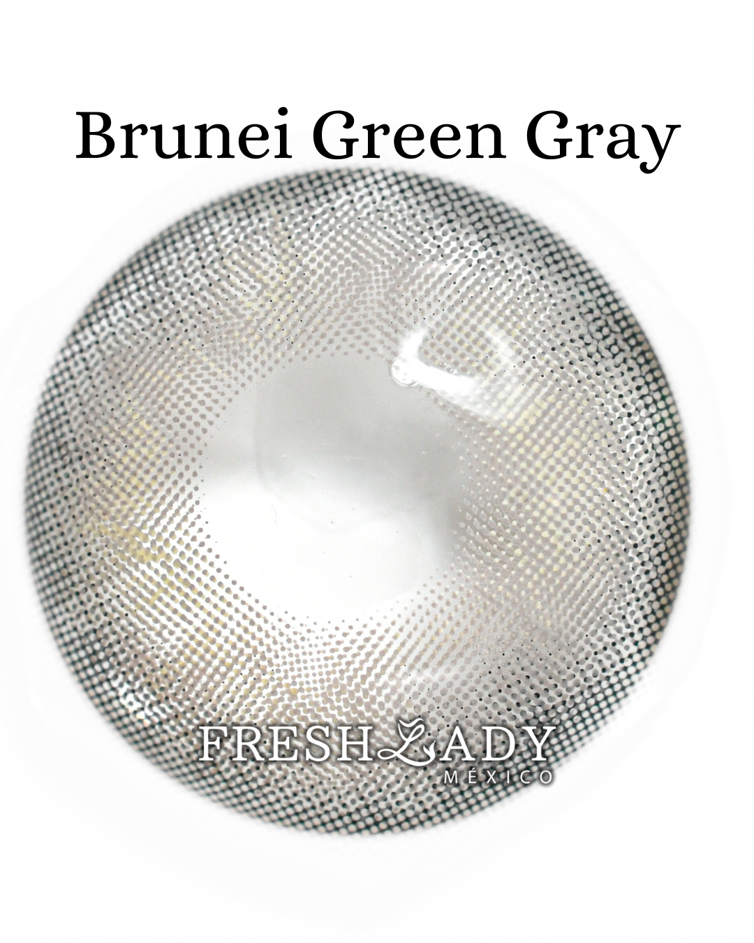Gray Green: Brunei