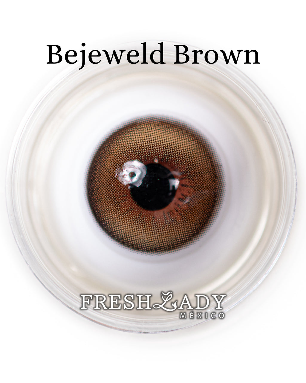 Brown: BEJEWELD CAJA de 10 lentes