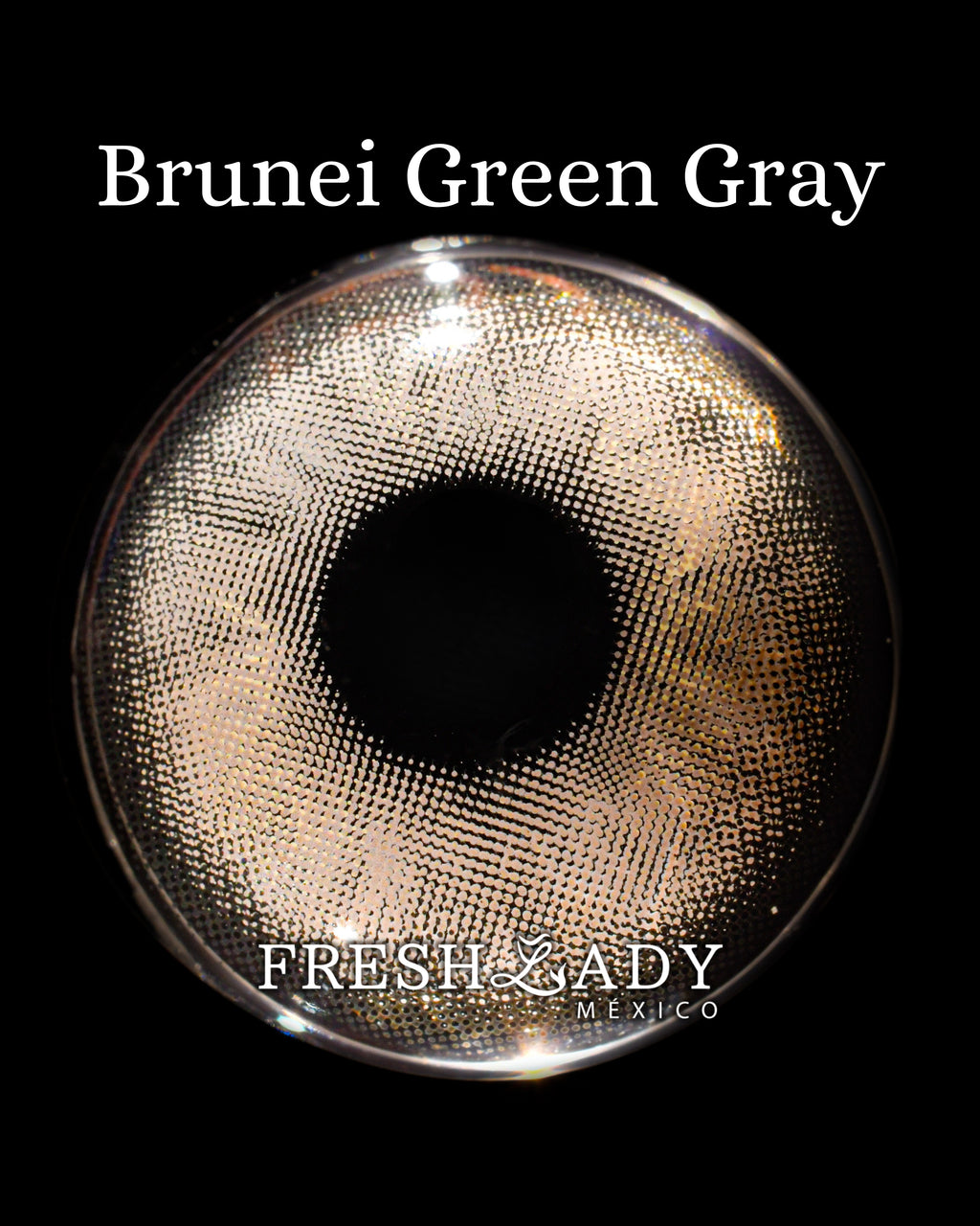 Gray Green: BRUNEI CAJA de 10 lentes