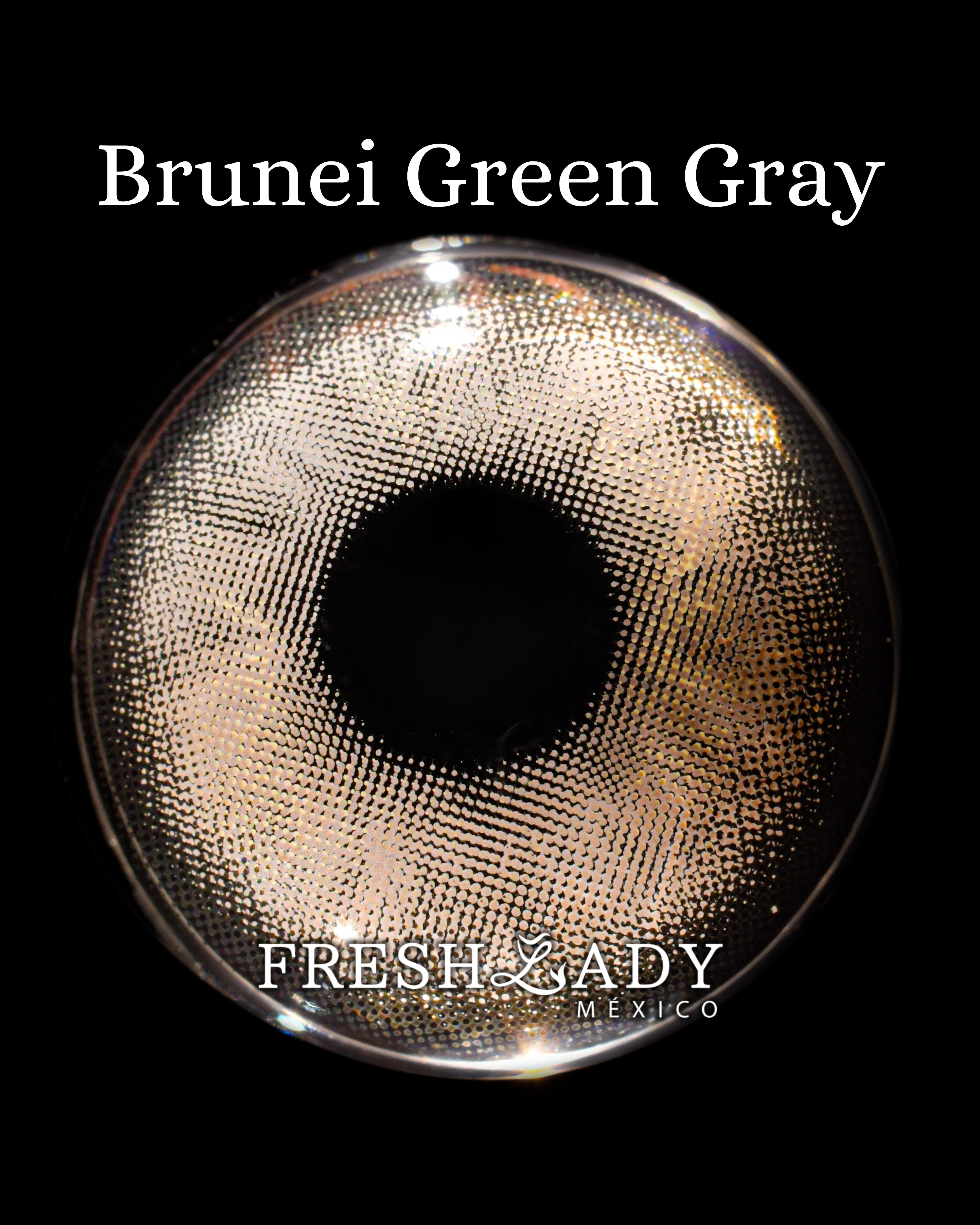 Gray Green: BRUNEI CAJA de 10 lentes