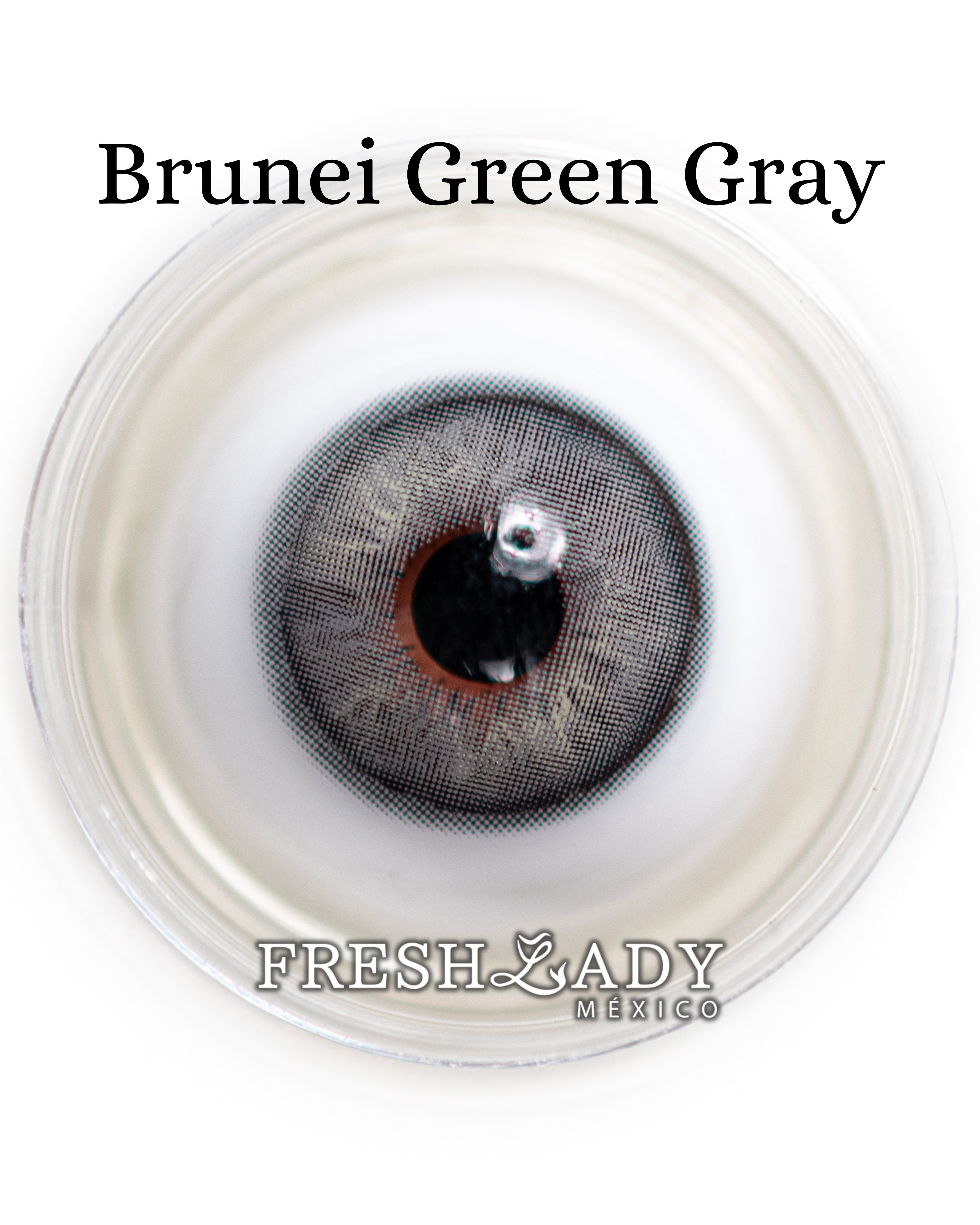 Gray Green: Brunei