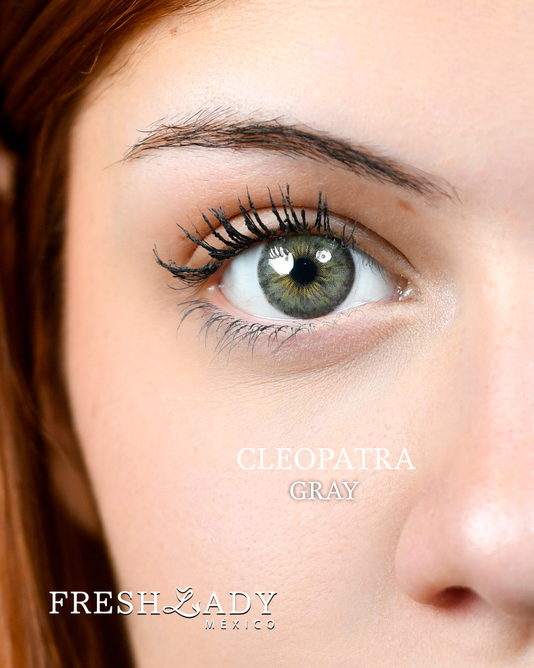 Gray: Cleopatra Graduado FreshLady