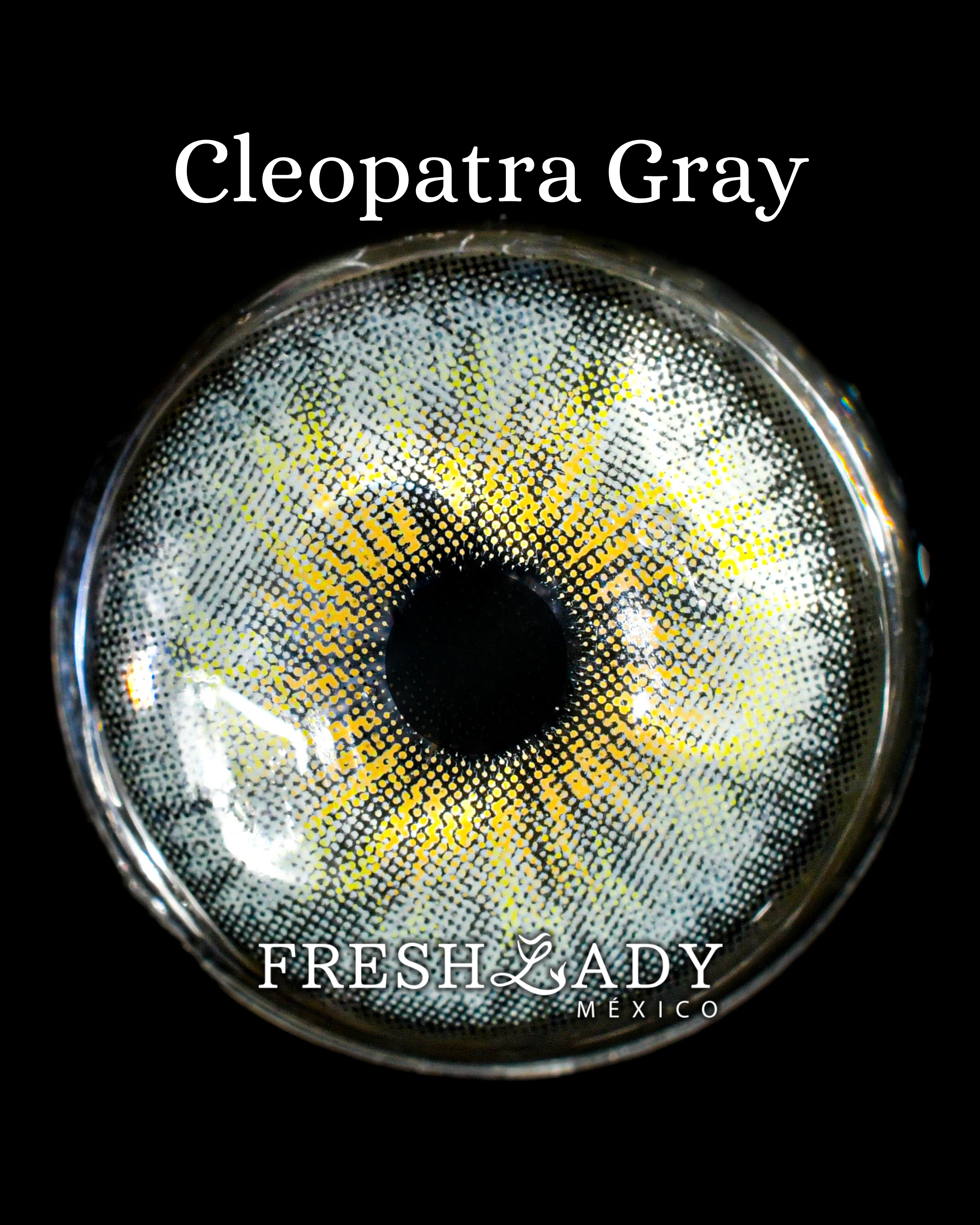 Gray: Cleopatra Graduado FreshLady