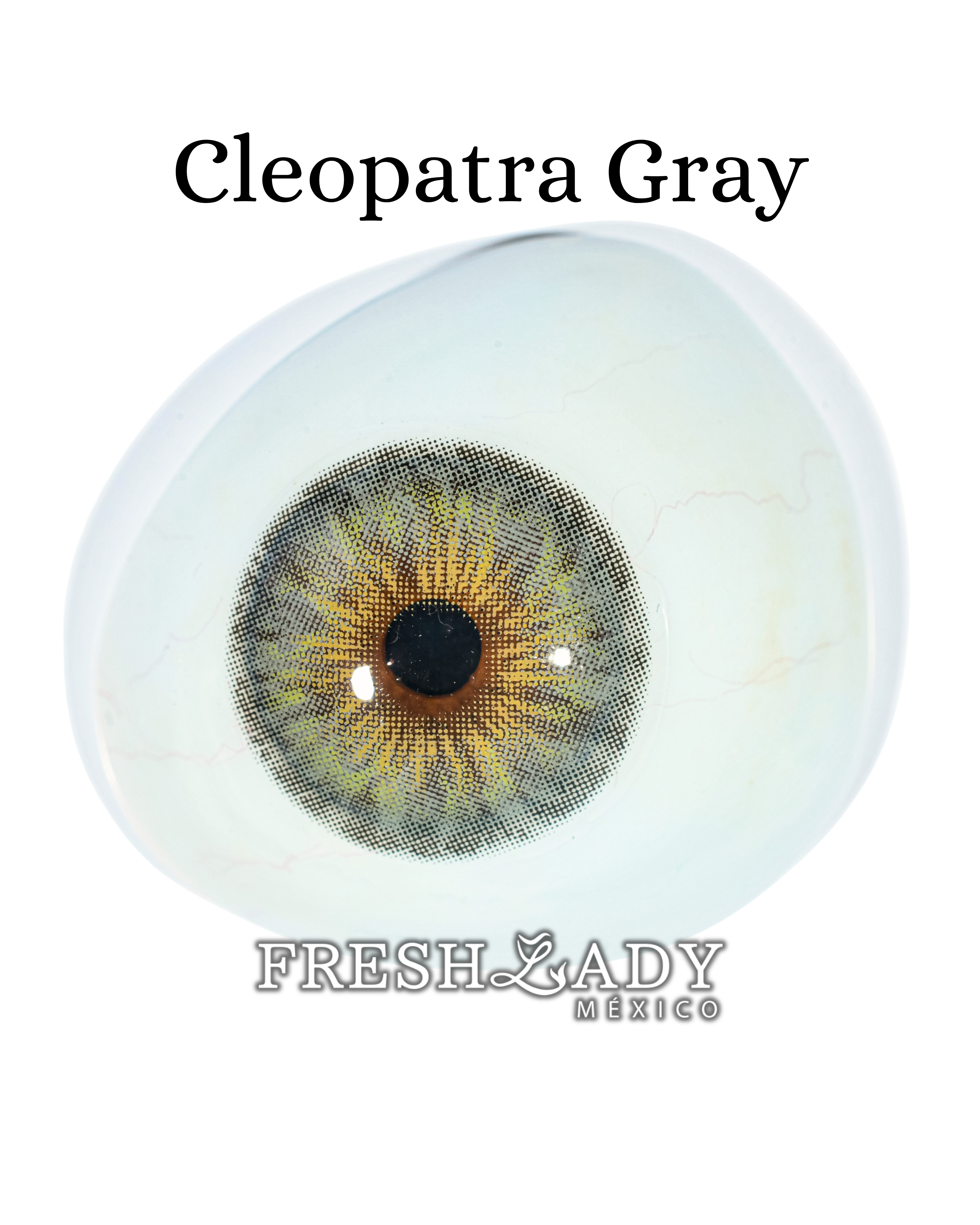 Gray: Cleopatra Graduado FreshLady