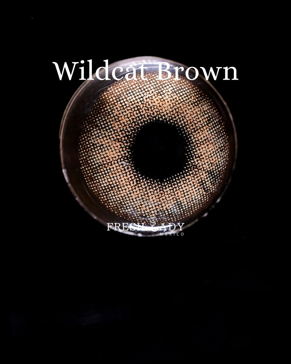 Brown: WILDCAT CAJA de 10 lentes