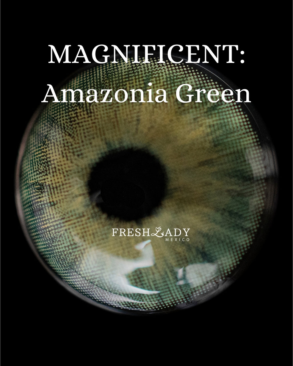 Green Amazonia: MAGNIFICENT CAJA de 10 lentes
