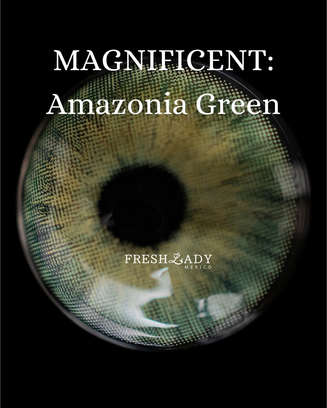 Green Amazonia: MAGNIFICENT CAJA de 10 lentes