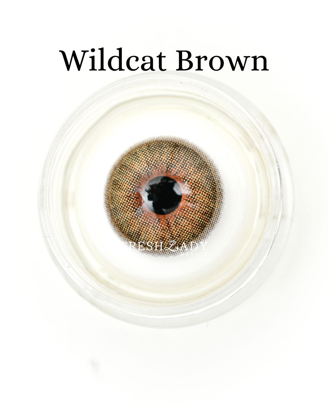 Brown: WildCat