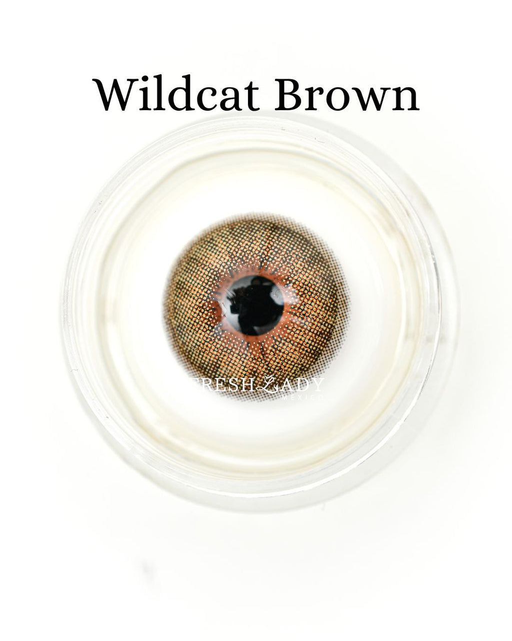Brown: WILDCAT CAJA de 10 lentes