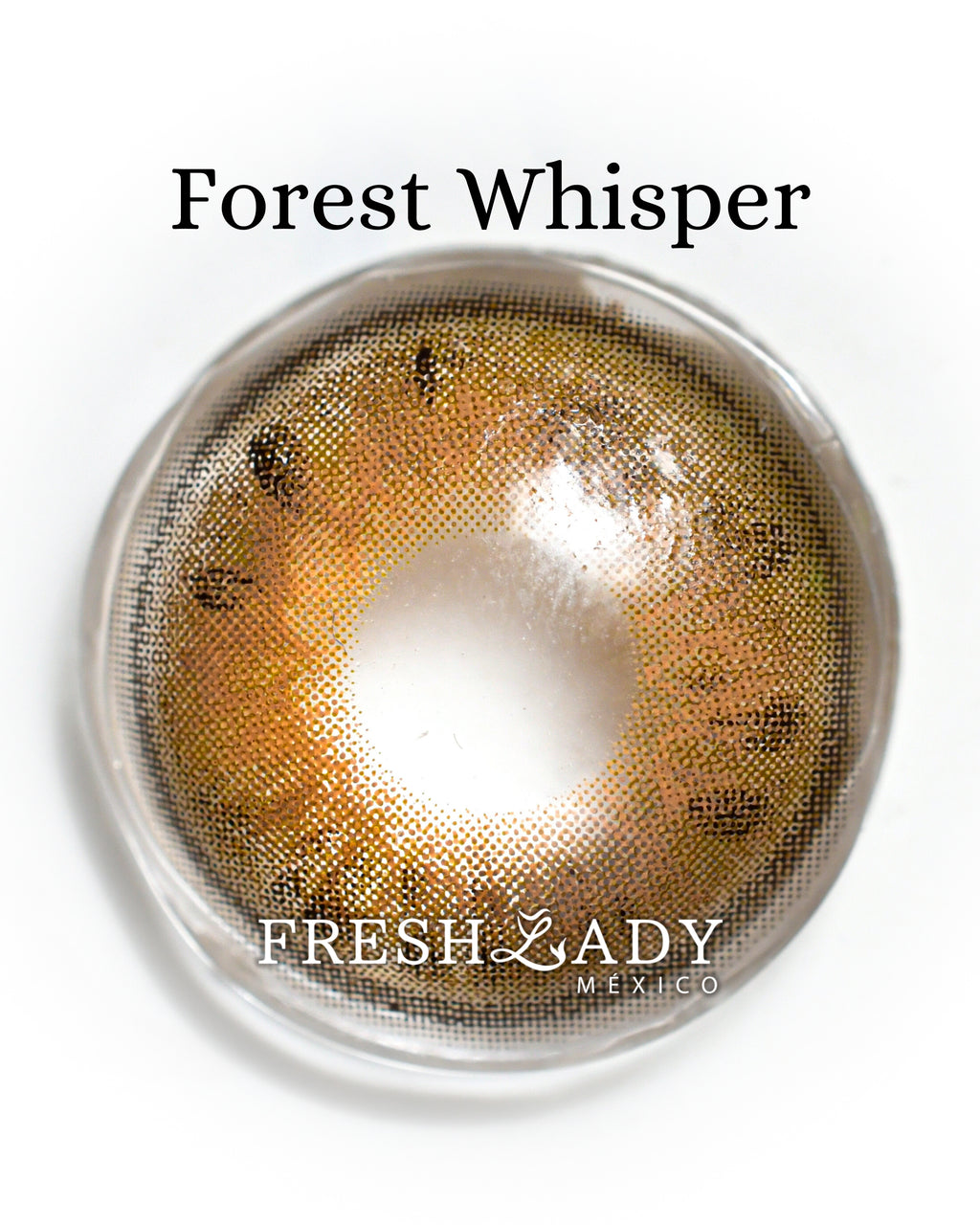 Brown Forest Whisper: ELEVEN CHARM