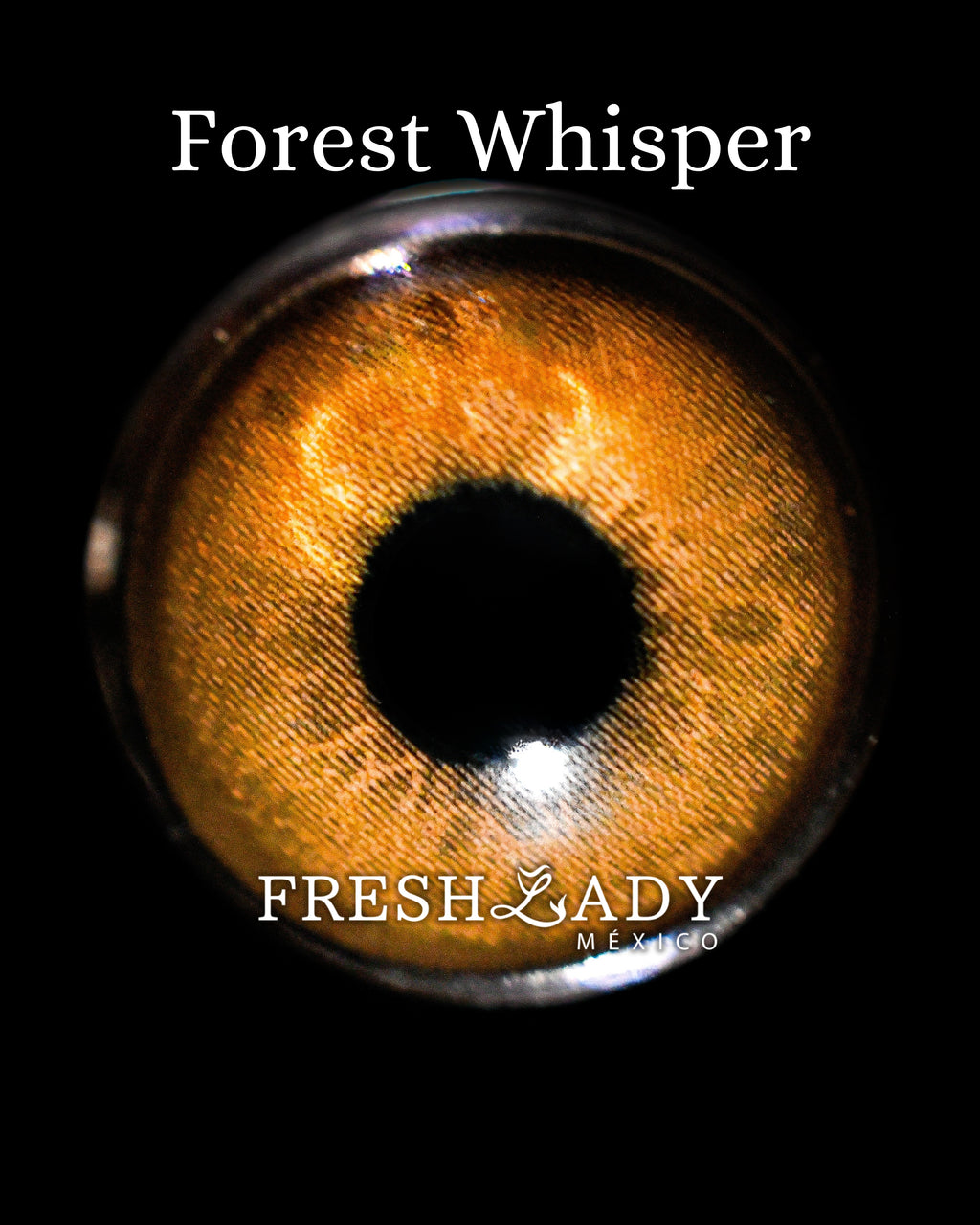 Brown Forest Whisper: ELEVEN CHARM