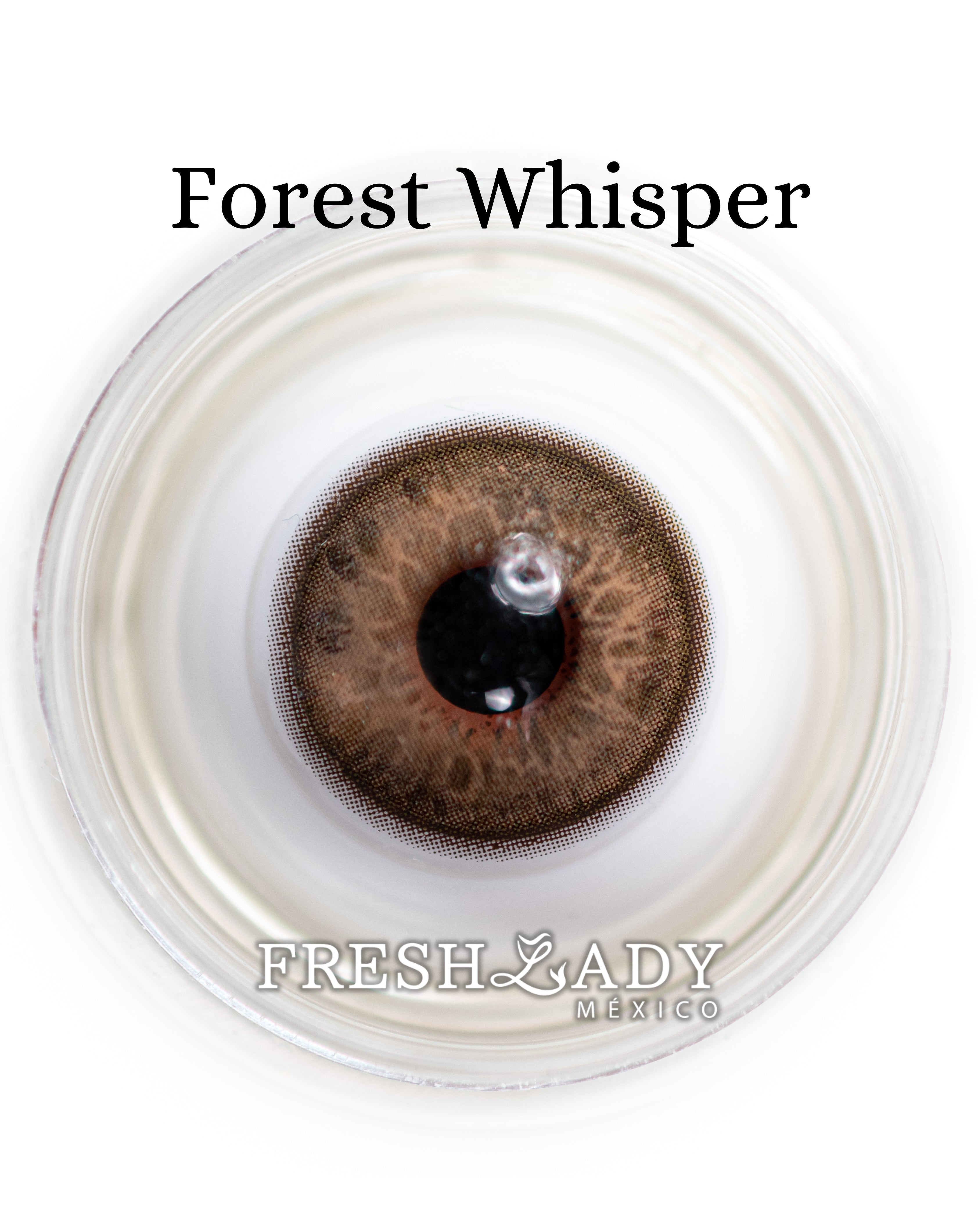 Brown Forest Whisper: ELEVEN CHARM CAJA de 10 lentes