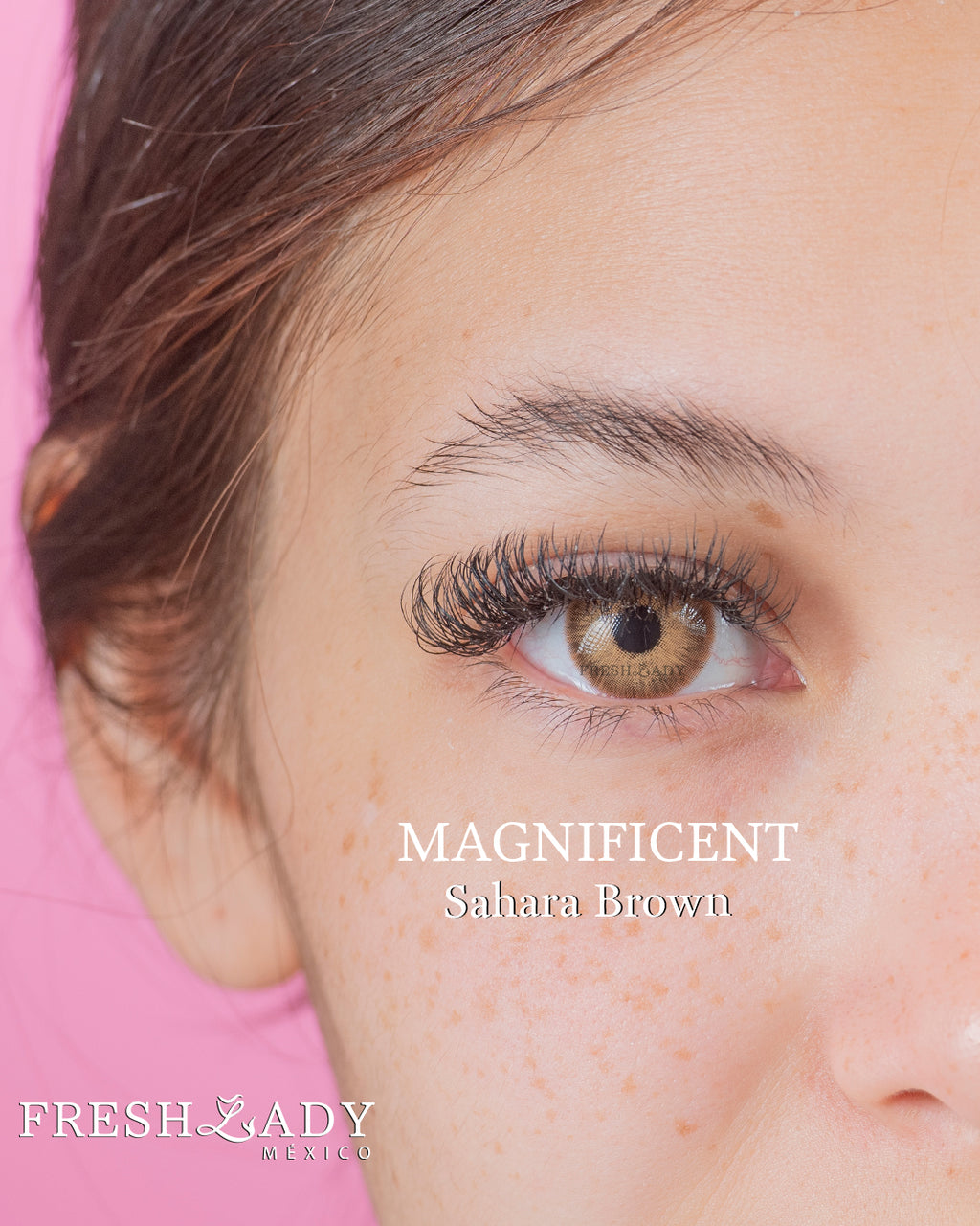 Brown Sahara: Magnificent