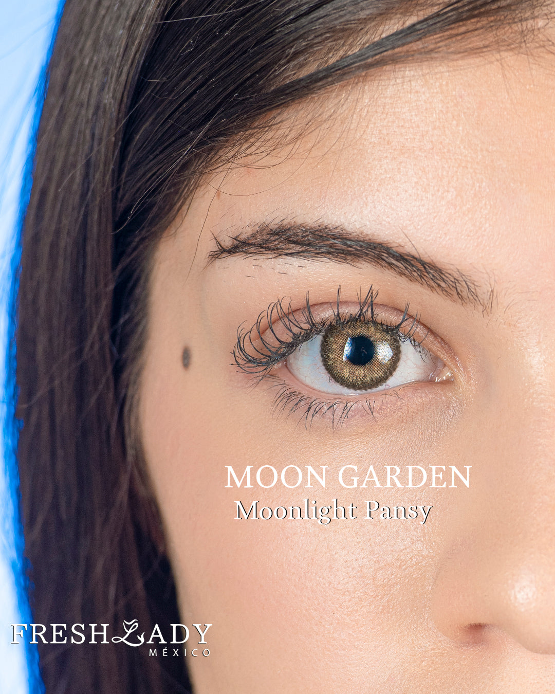 Hazel Moonlight Pansy: MOON GARDEN CAJA de 10 lentes