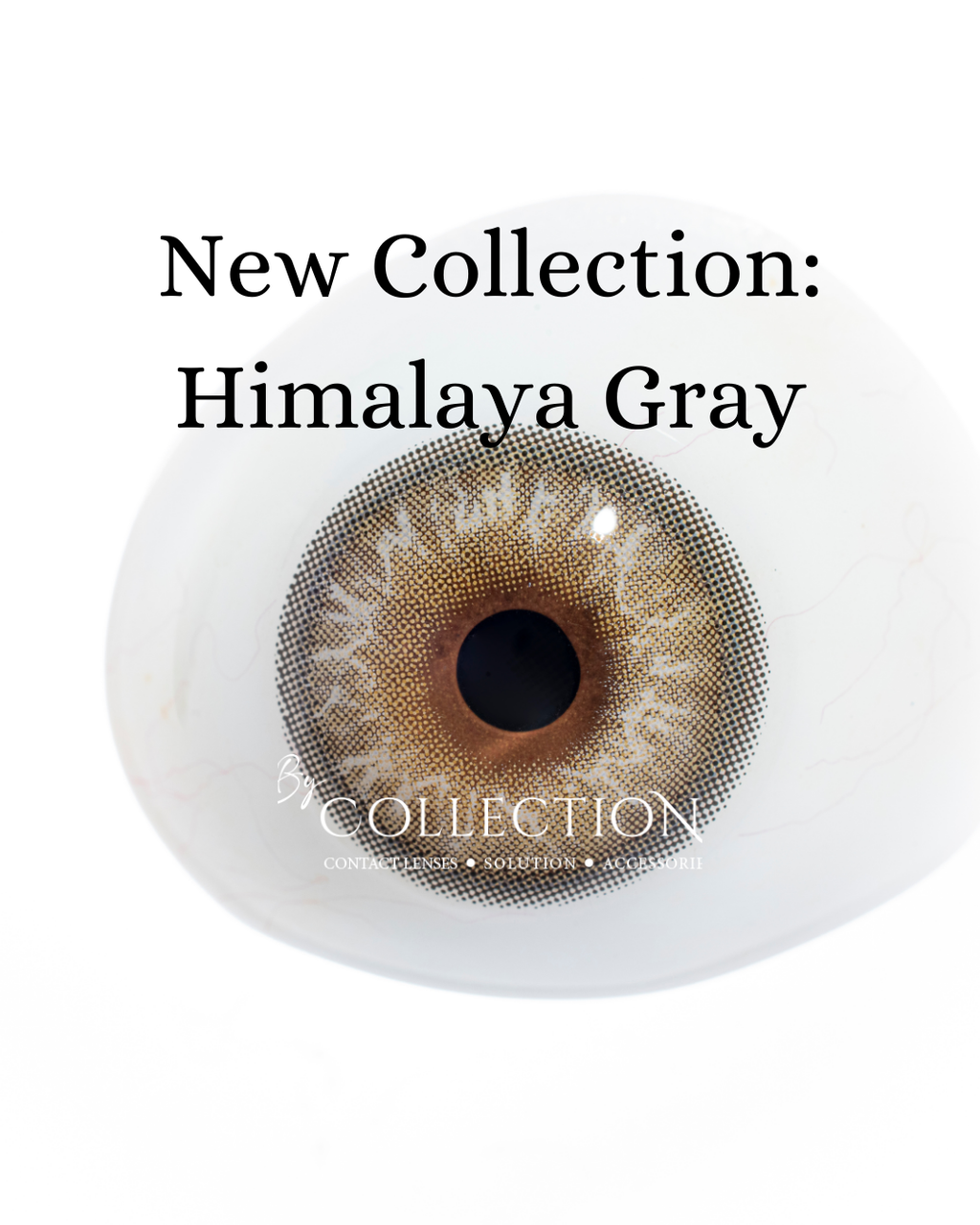 Gray Himalaya: New Collection