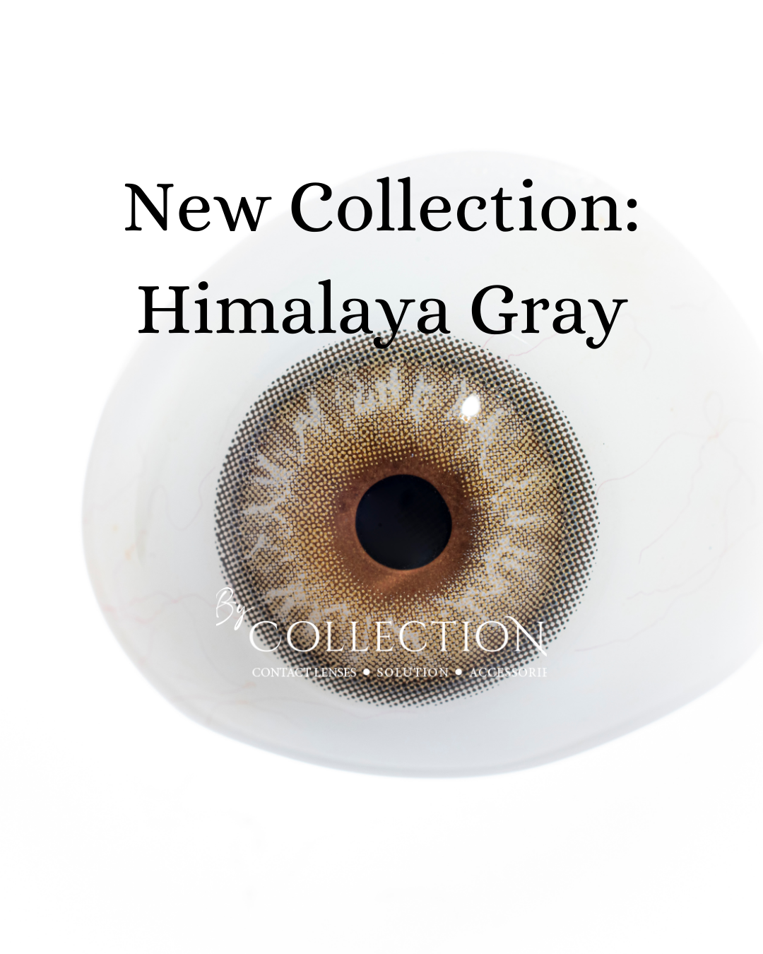 Gray Himalaya: New Collection