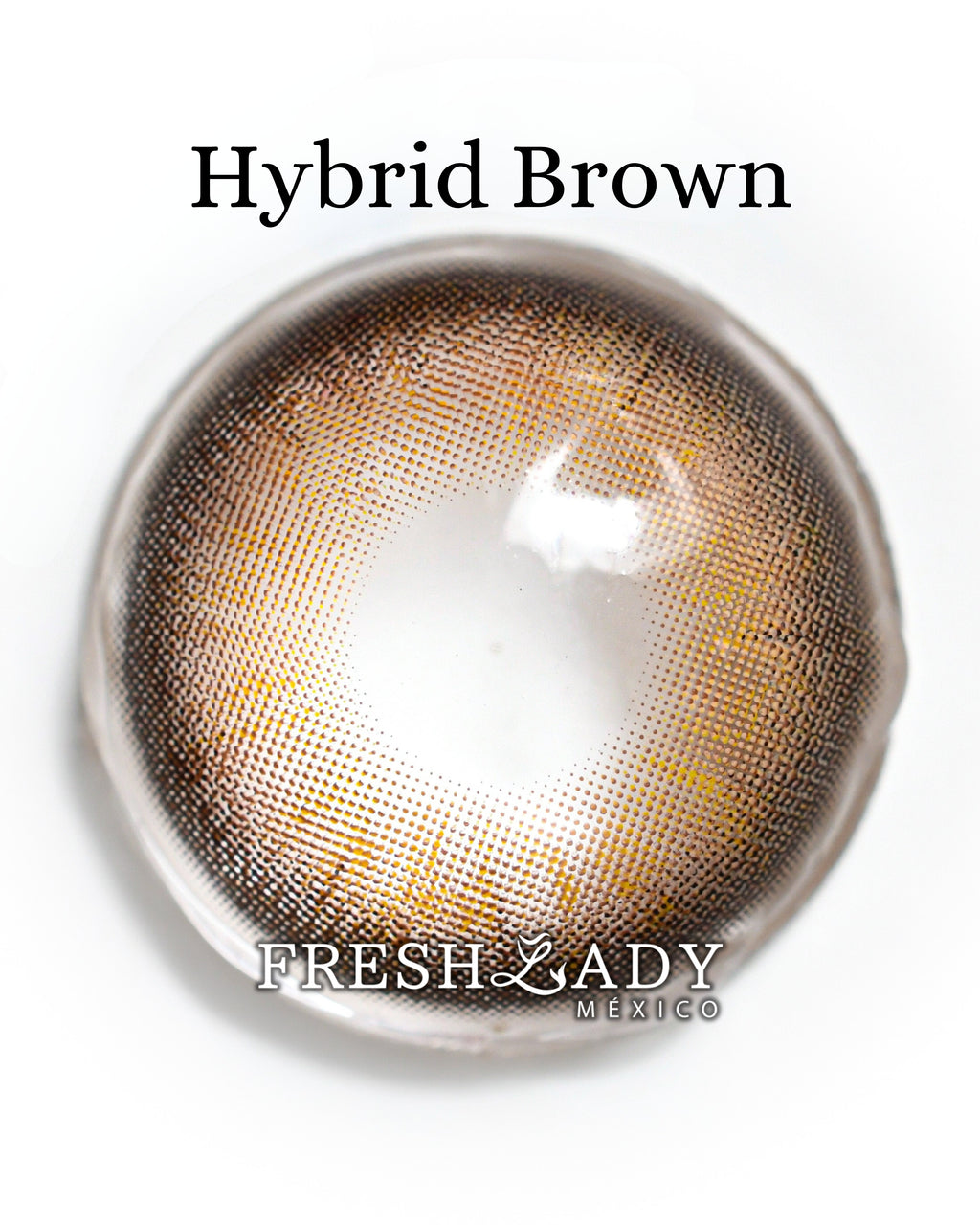 Brown Hybrid: ENIGMA DUALITY