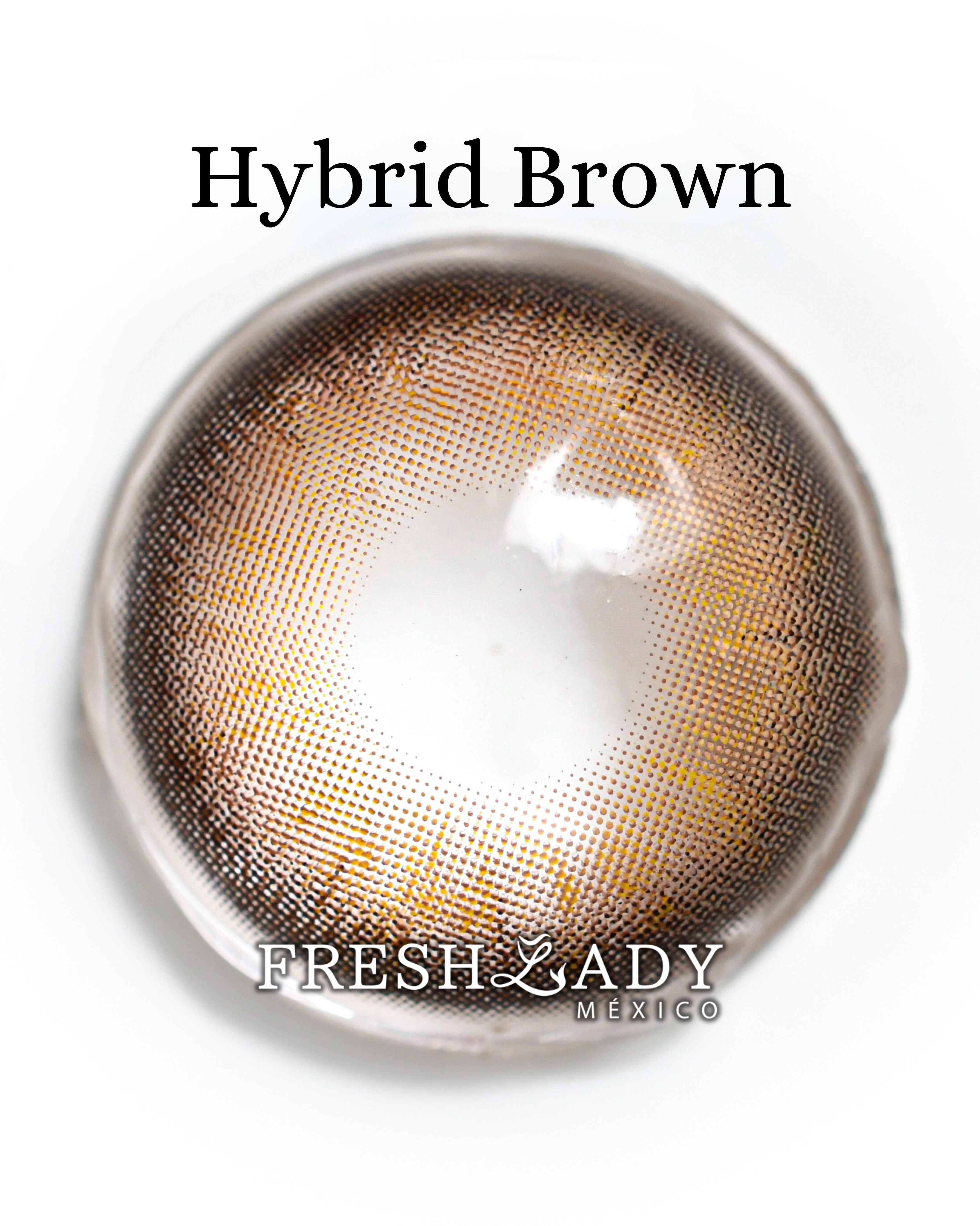 Brown Hybrid: ENIGMA DUALITY