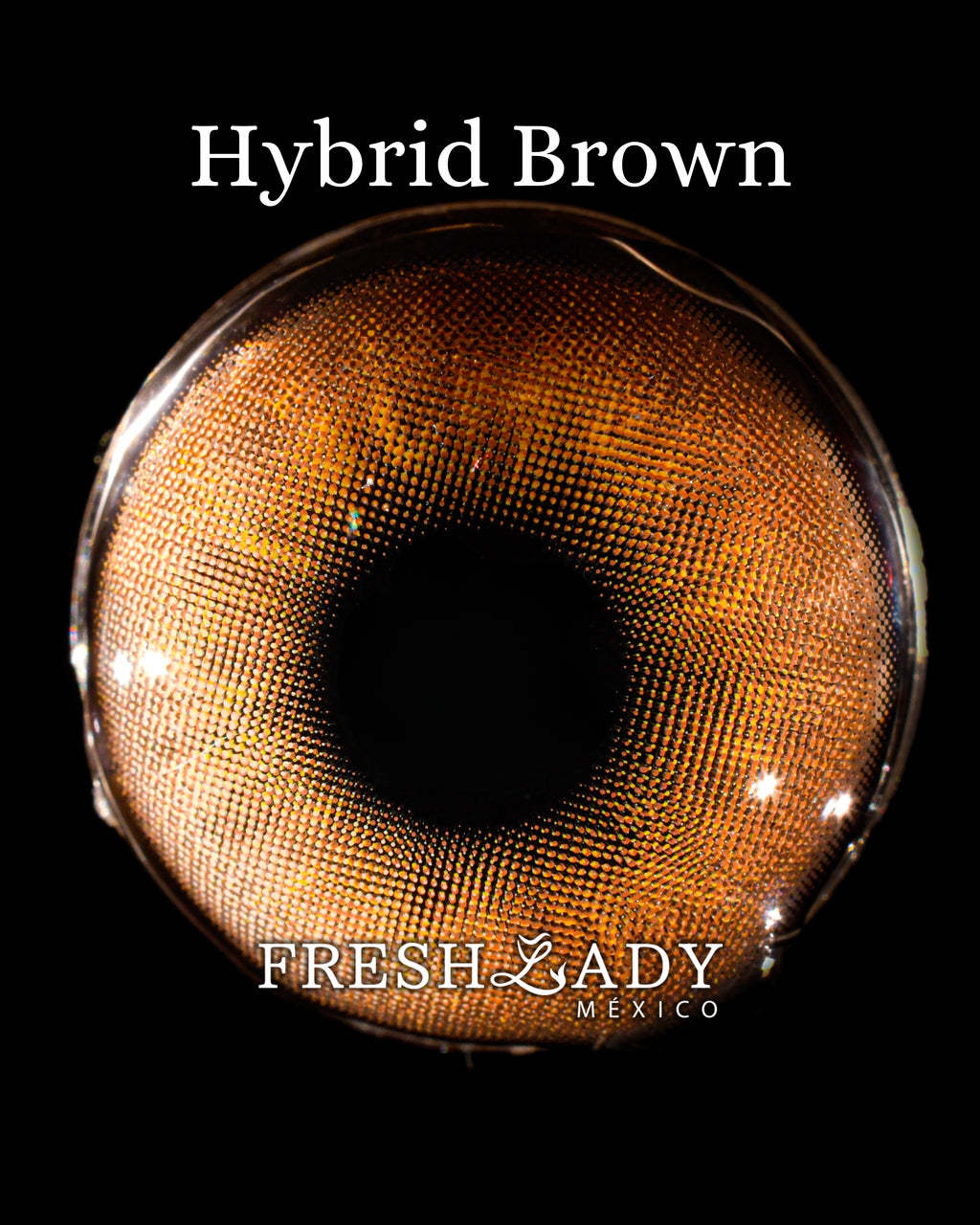 Brown Hybrid: ENIGMA DUALITY CAJA de 10 lentes