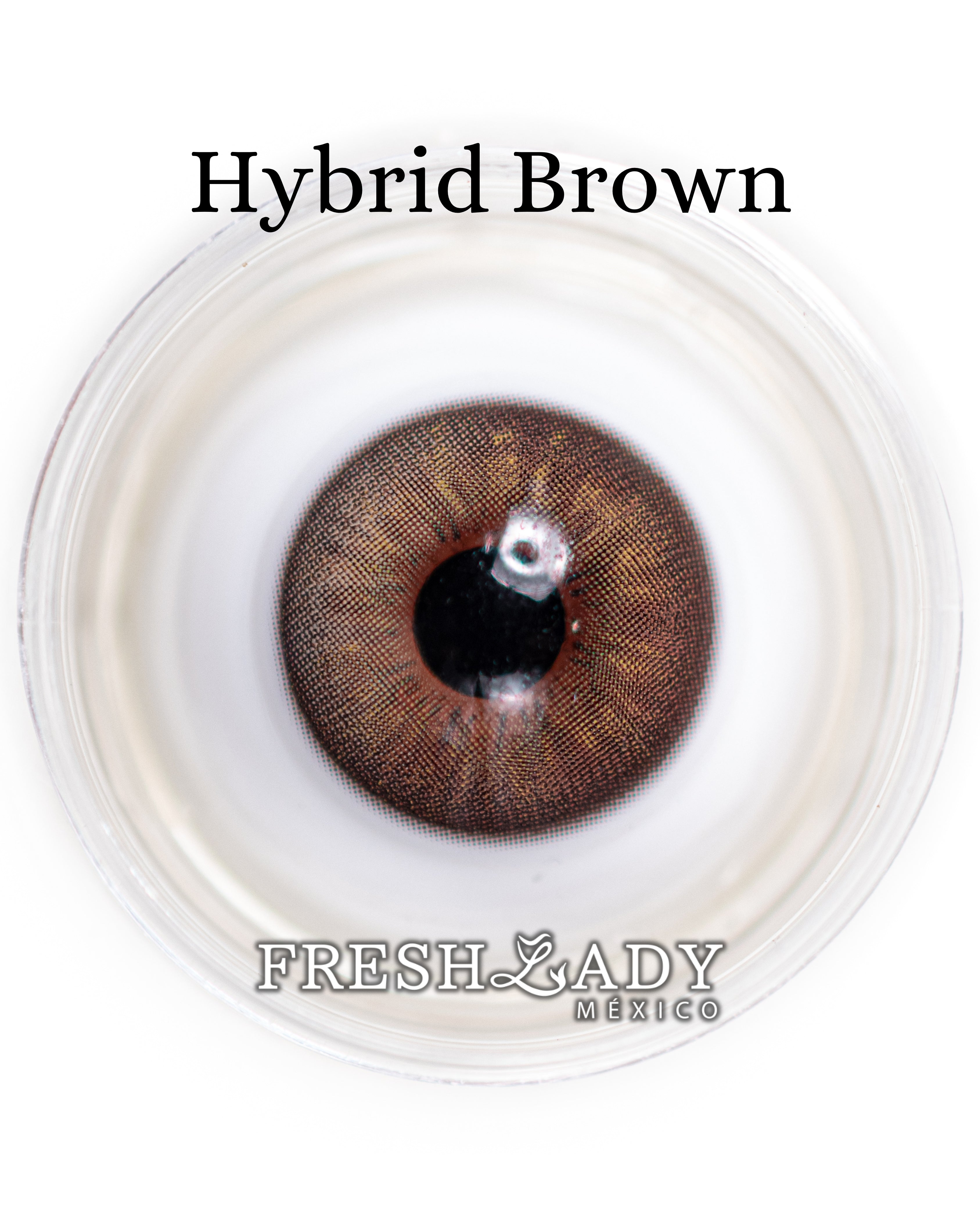 Brown Hybrid: ENIGMA DUALITY