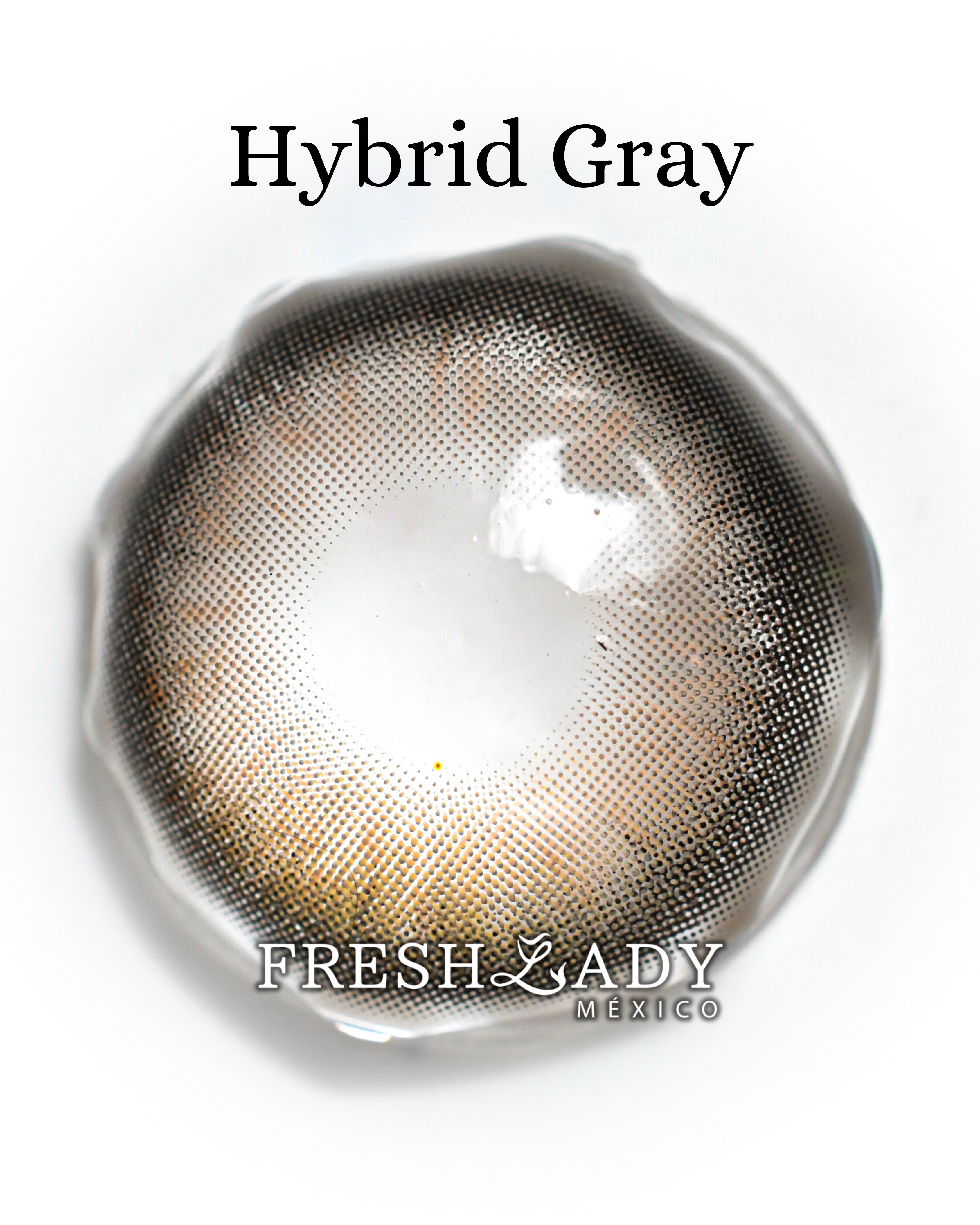 Gray Hybrid: ENIGMA DUALITY CAJA de 10 lentes