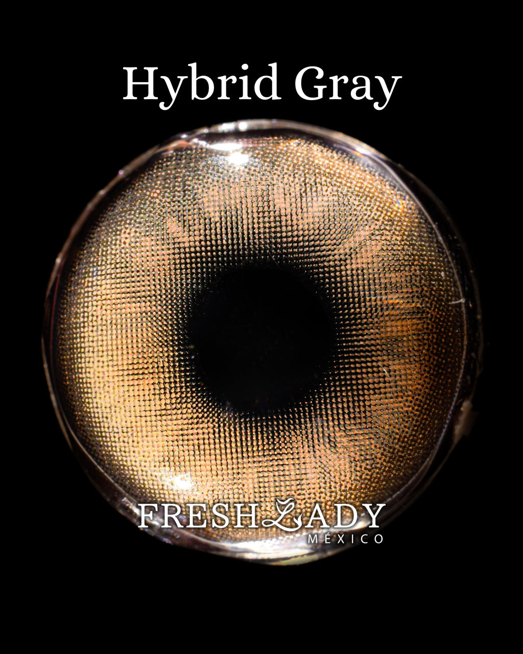 Gray Hybrid: ENIGMA DUALITY