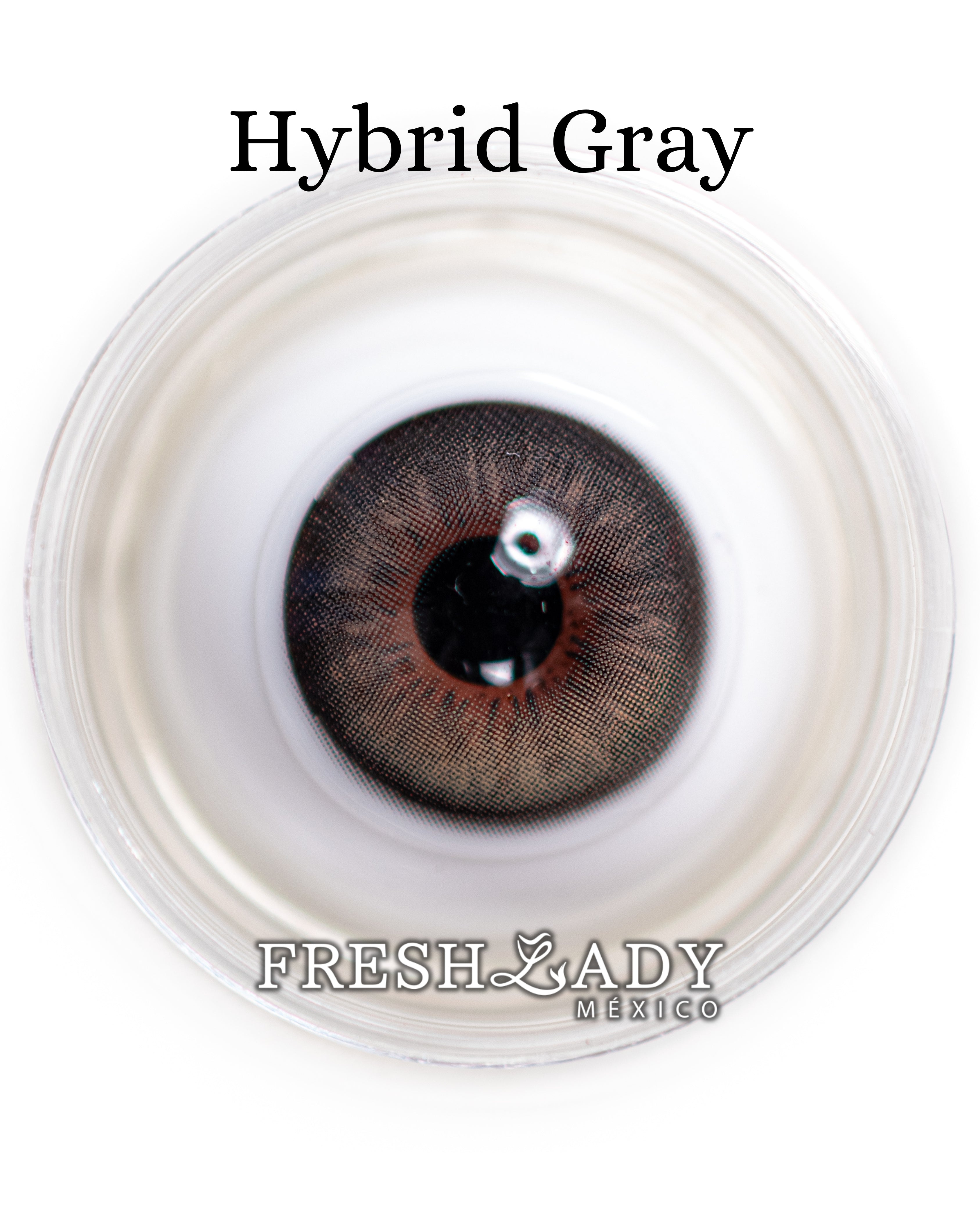 Gray Hybrid: ENIGMA DUALITY