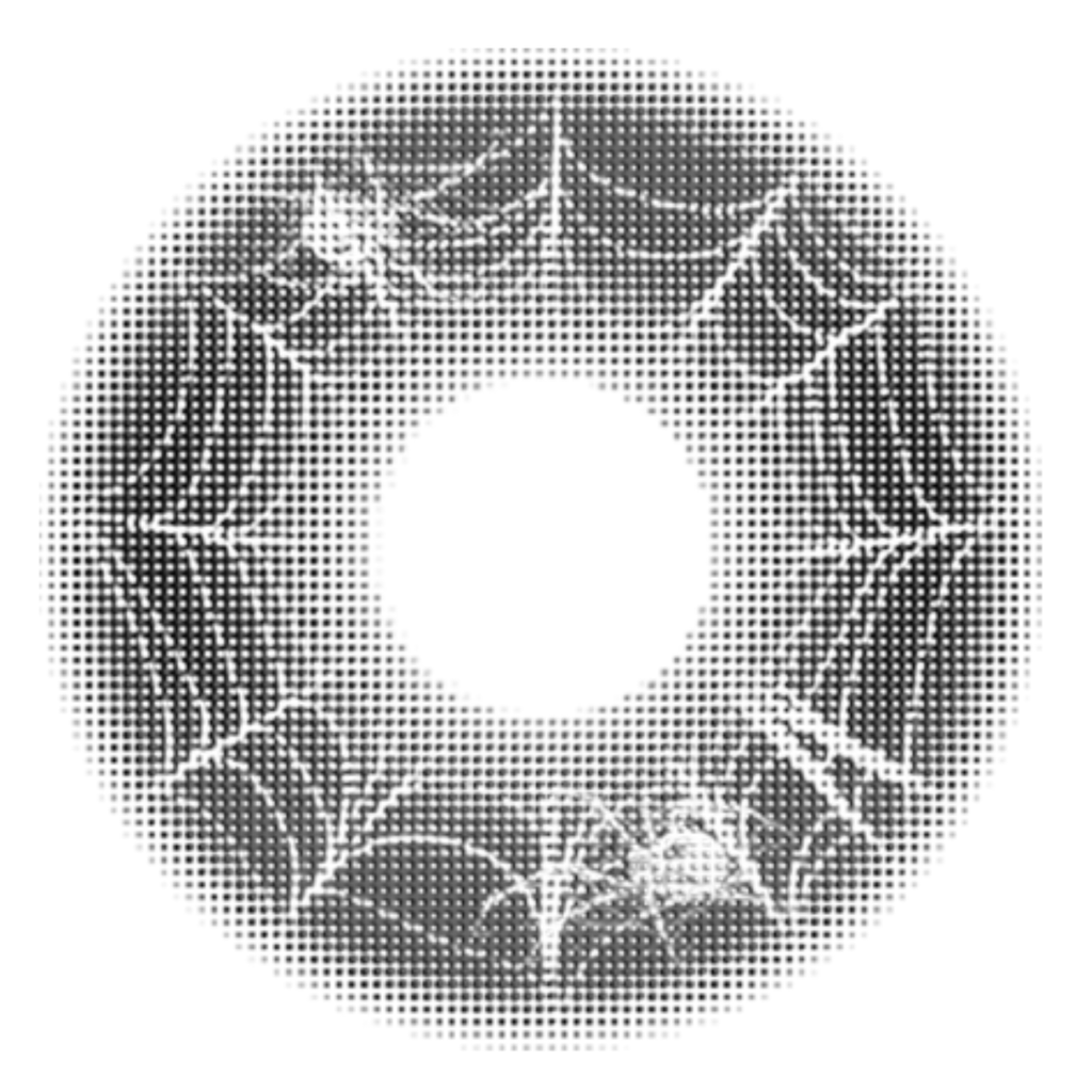NEW SPIDER