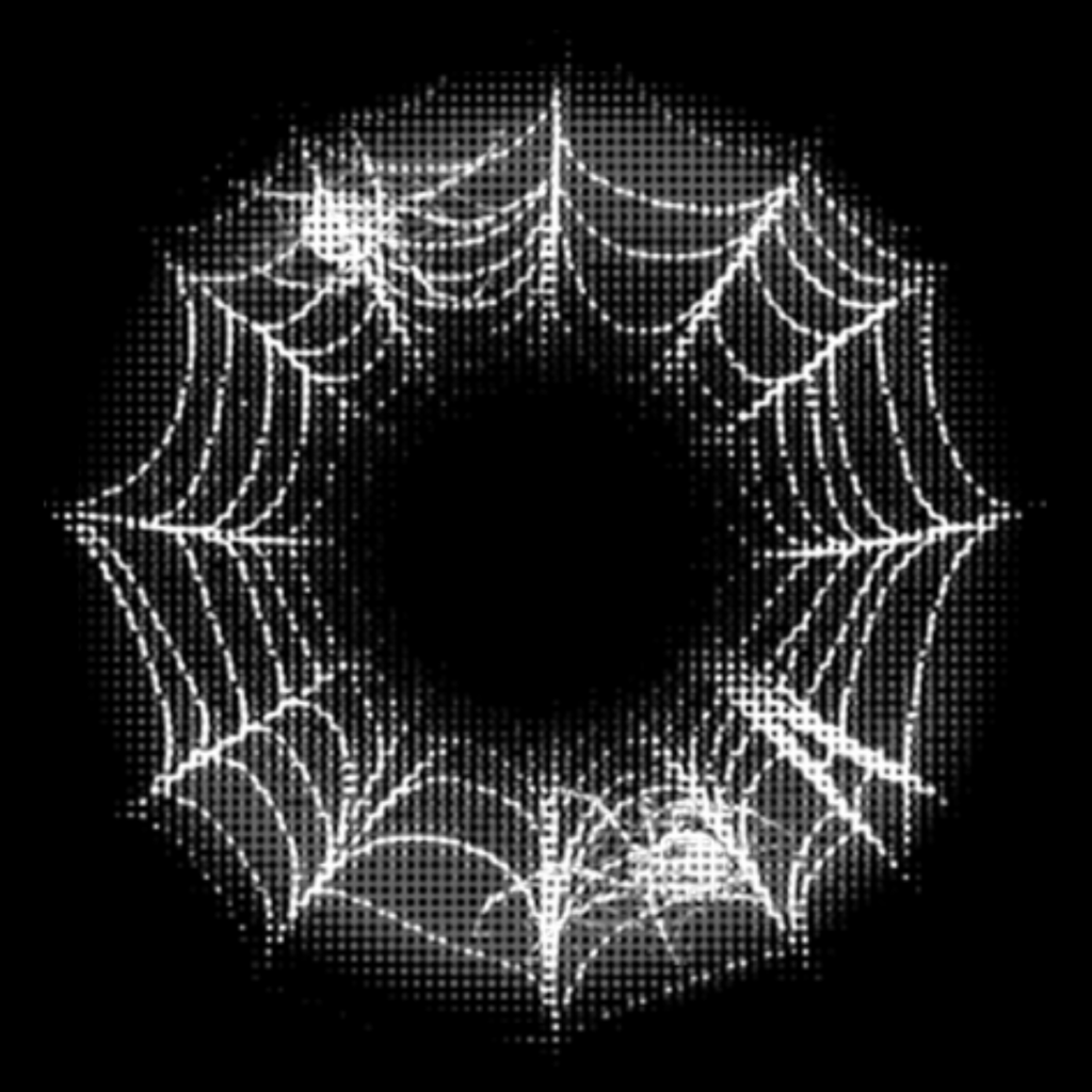 NEW SPIDER