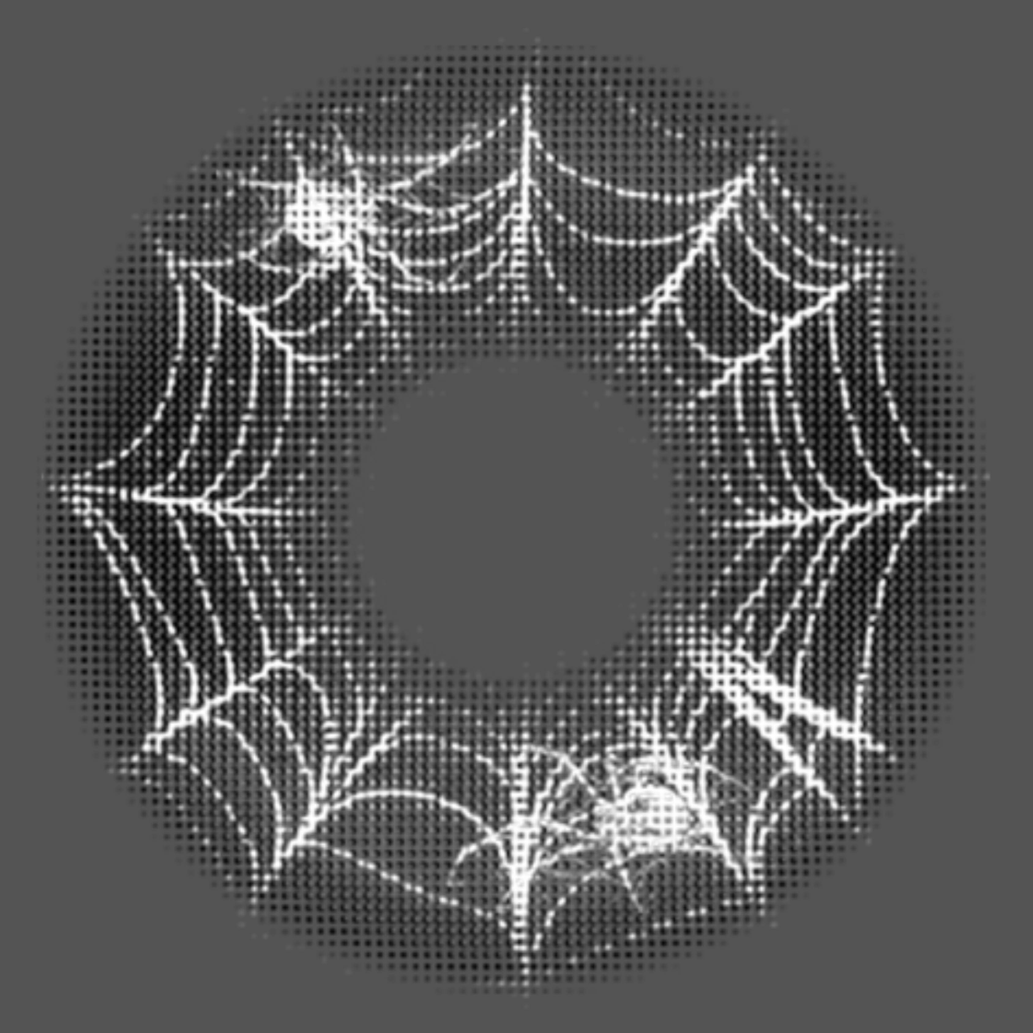 NEW SPIDER