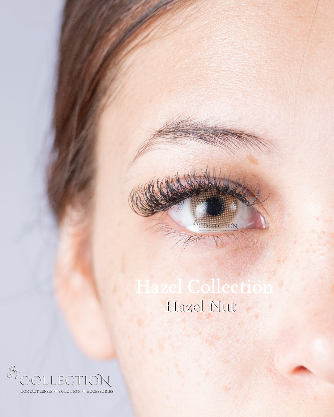 Hazel Nut: Hazel Collection