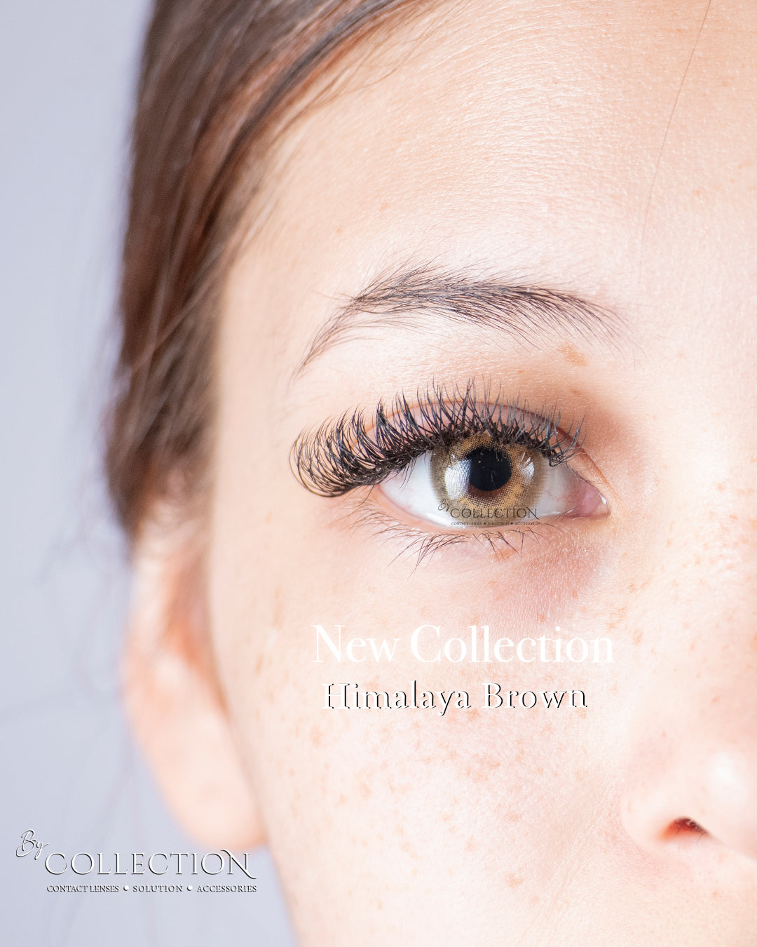 Brown Himalaya: New Collection