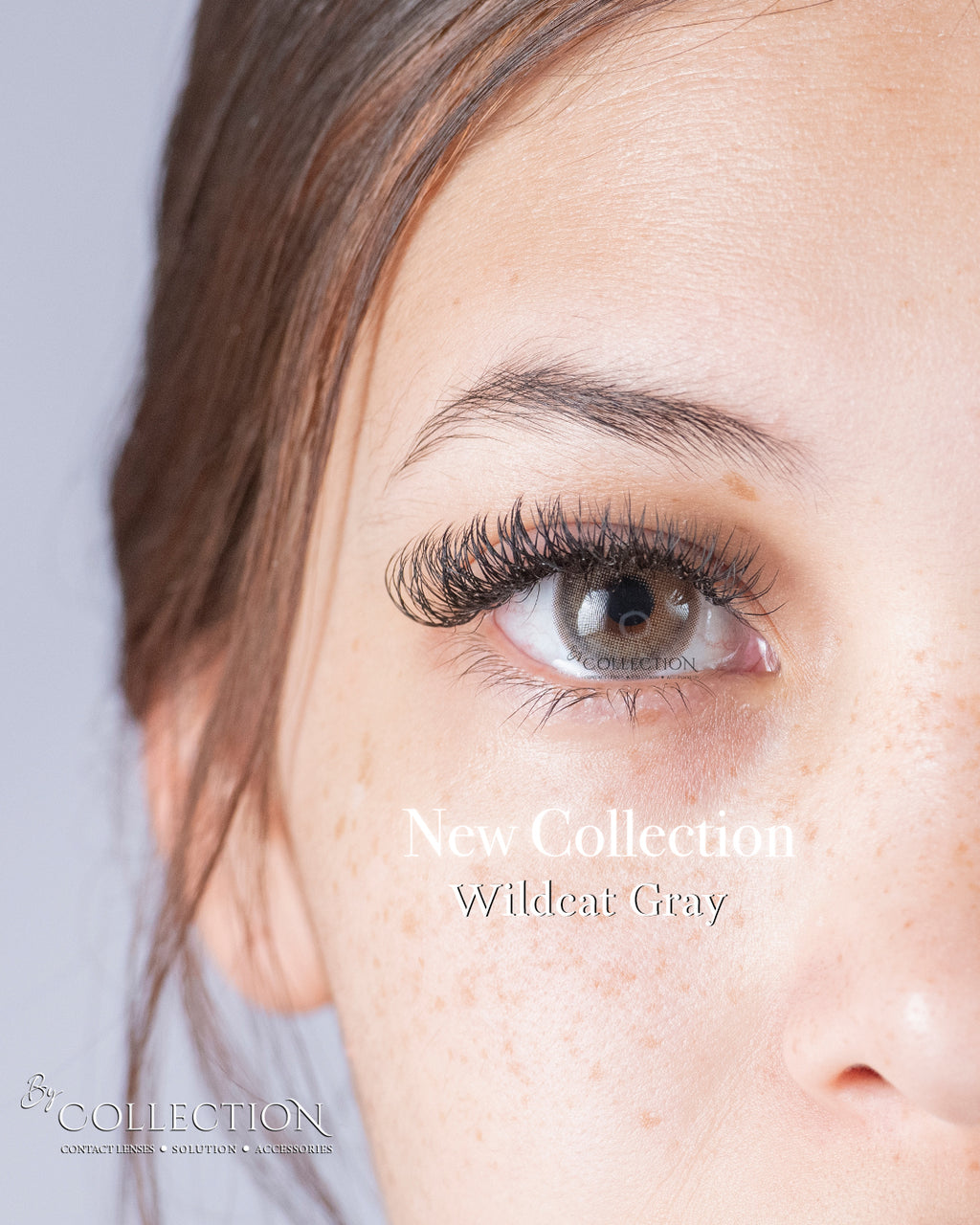 Gray Wildcat: New Collection