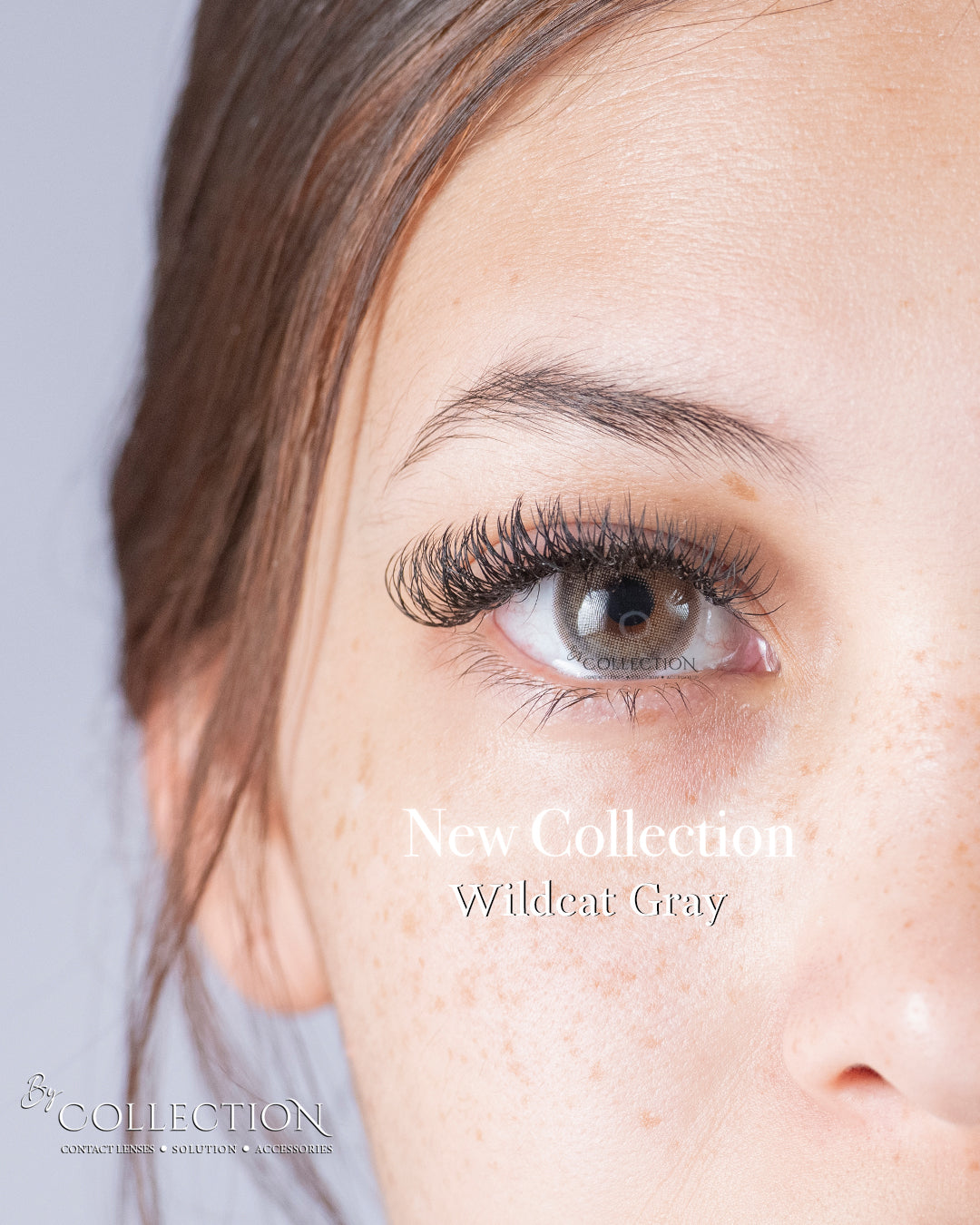 Gray Wildcat: New Collection