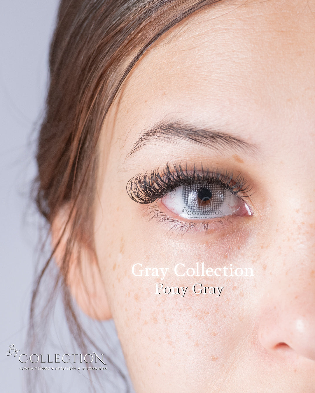 Gray Pony: Gray Collection