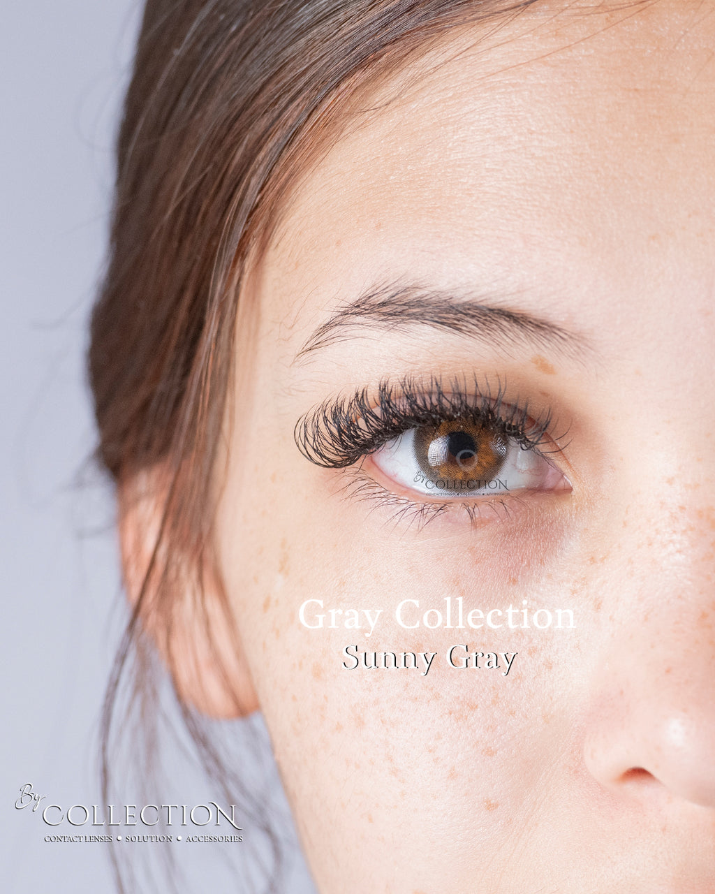Gray Sunny: Gray Collection