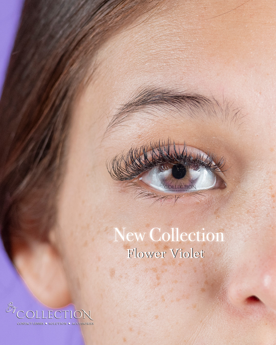 Violet Flower: New Collection