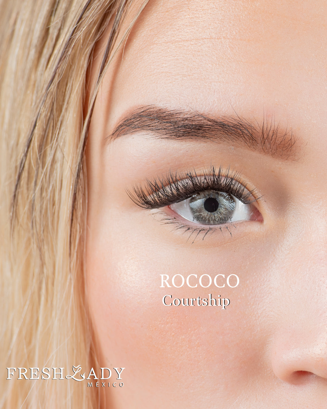 Gray Courtship: ROCOCO