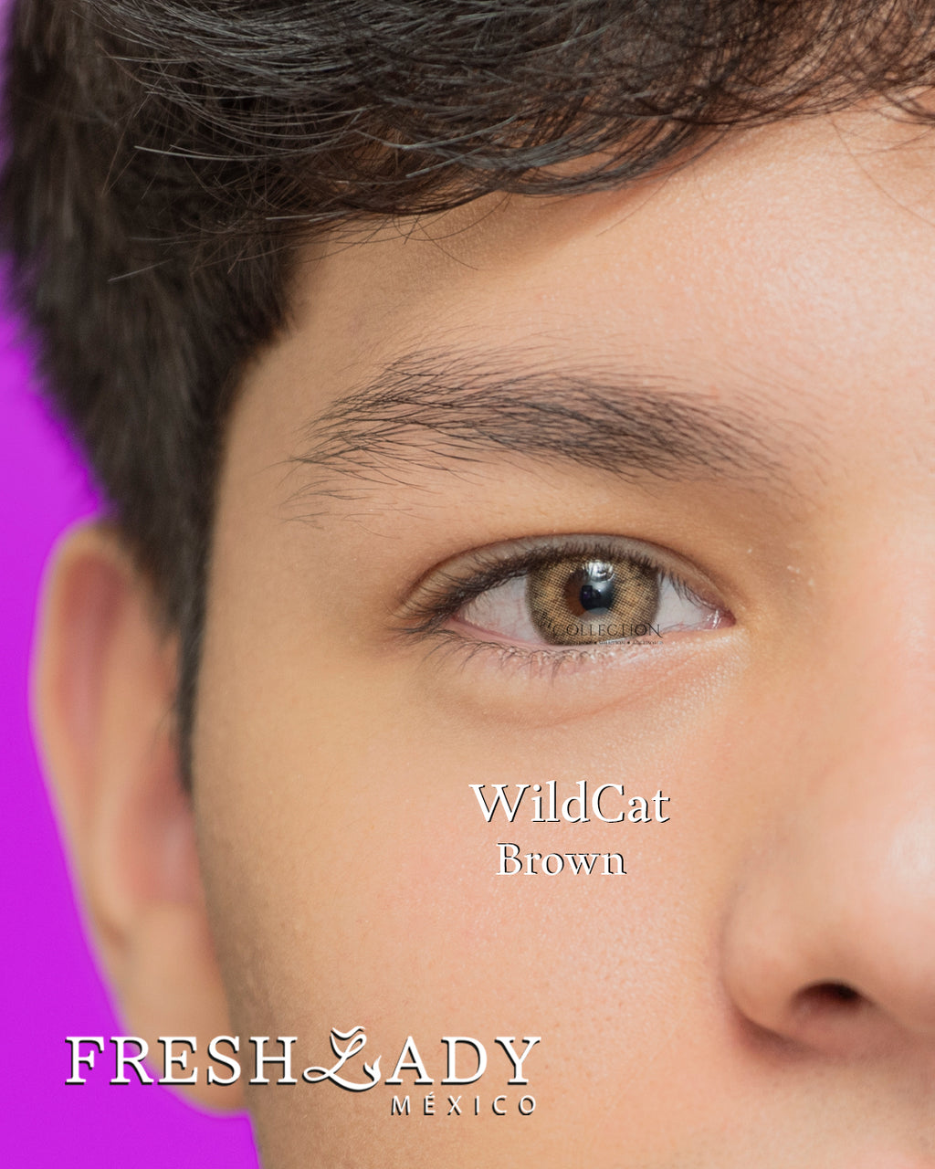 Brown: WILDCAT CAJA de 10 lentes