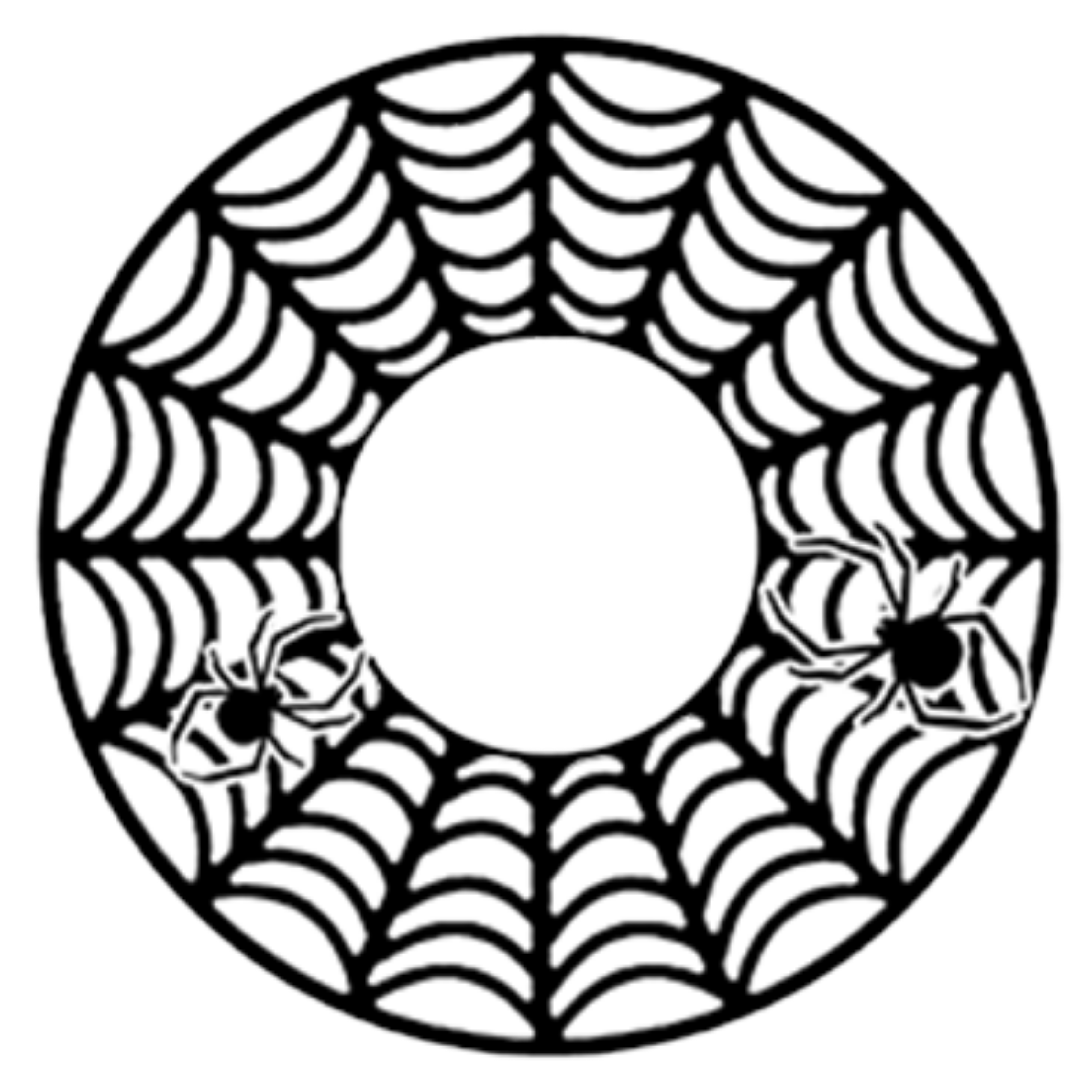 SPIDER