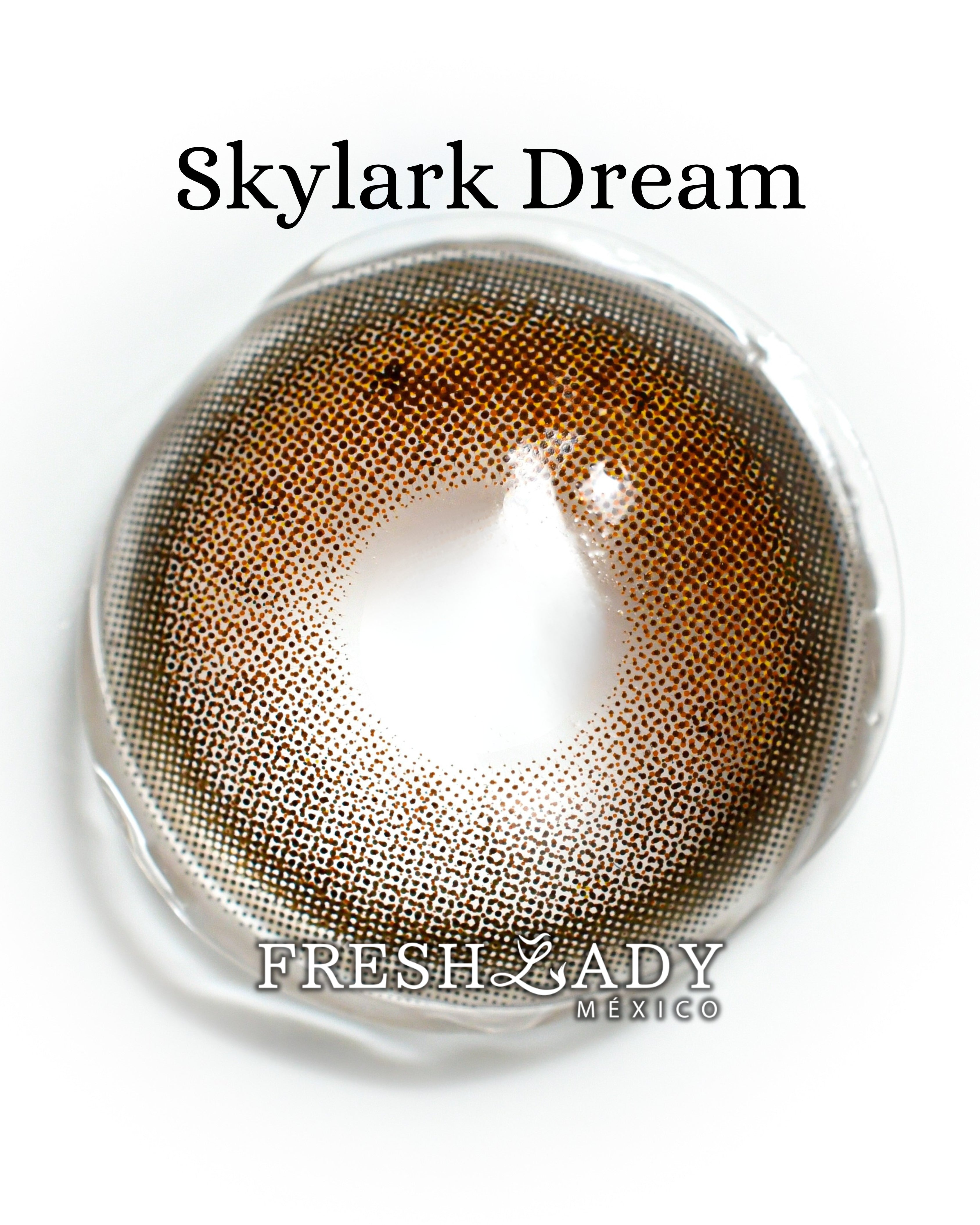 Brown Skylark Dream: MIRACLE NIGHT