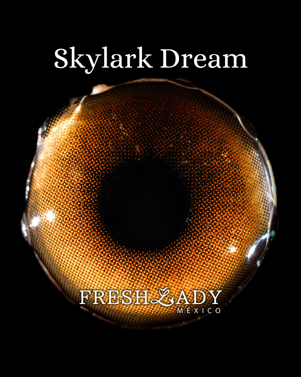 Brown Skylark Dream: MIRACLE NIGHT CAJA de 10 lentes