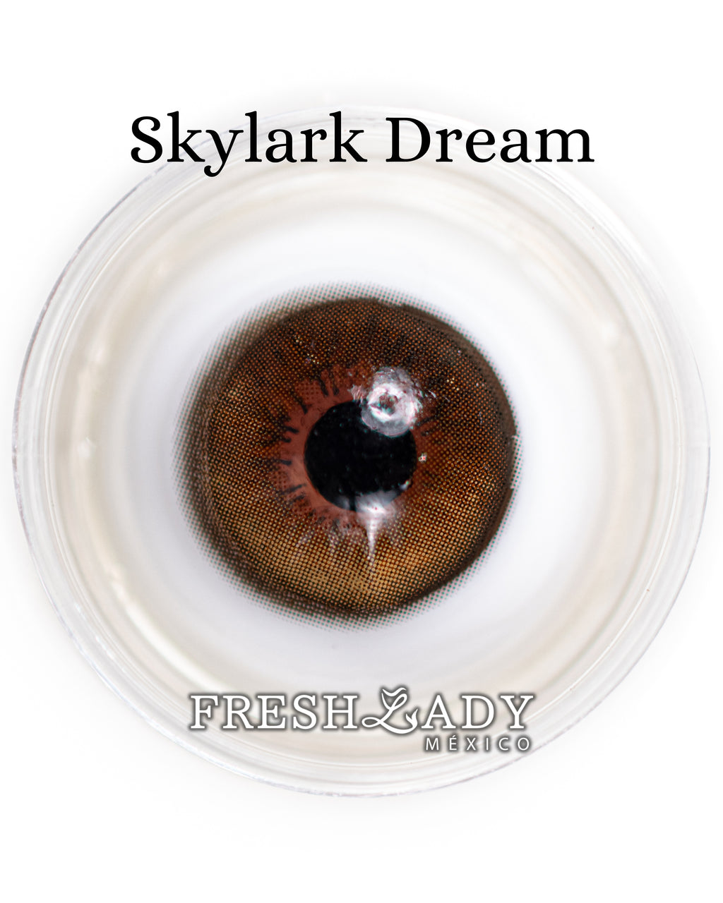 Brown Skylark Dream: MIRACLE NIGHT