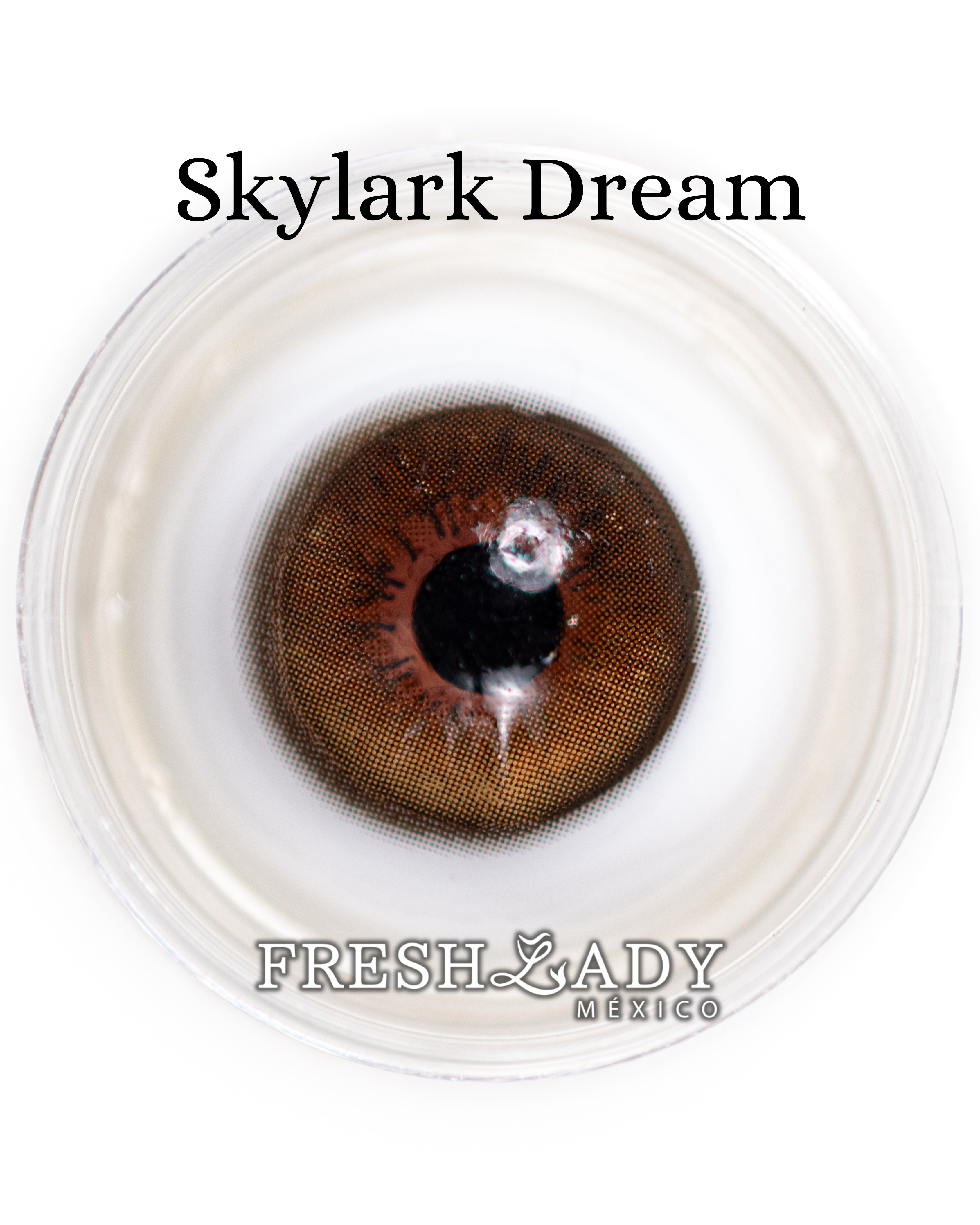 Brown Skylark Dream: MIRACLE NIGHT