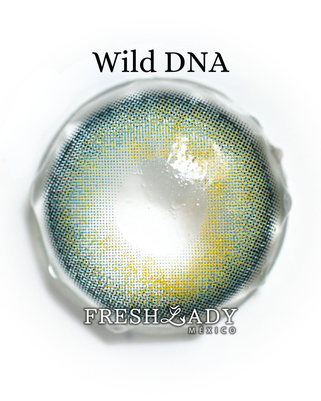 Green Wild DNA: WILDLOOK CAJA de 10 lentes