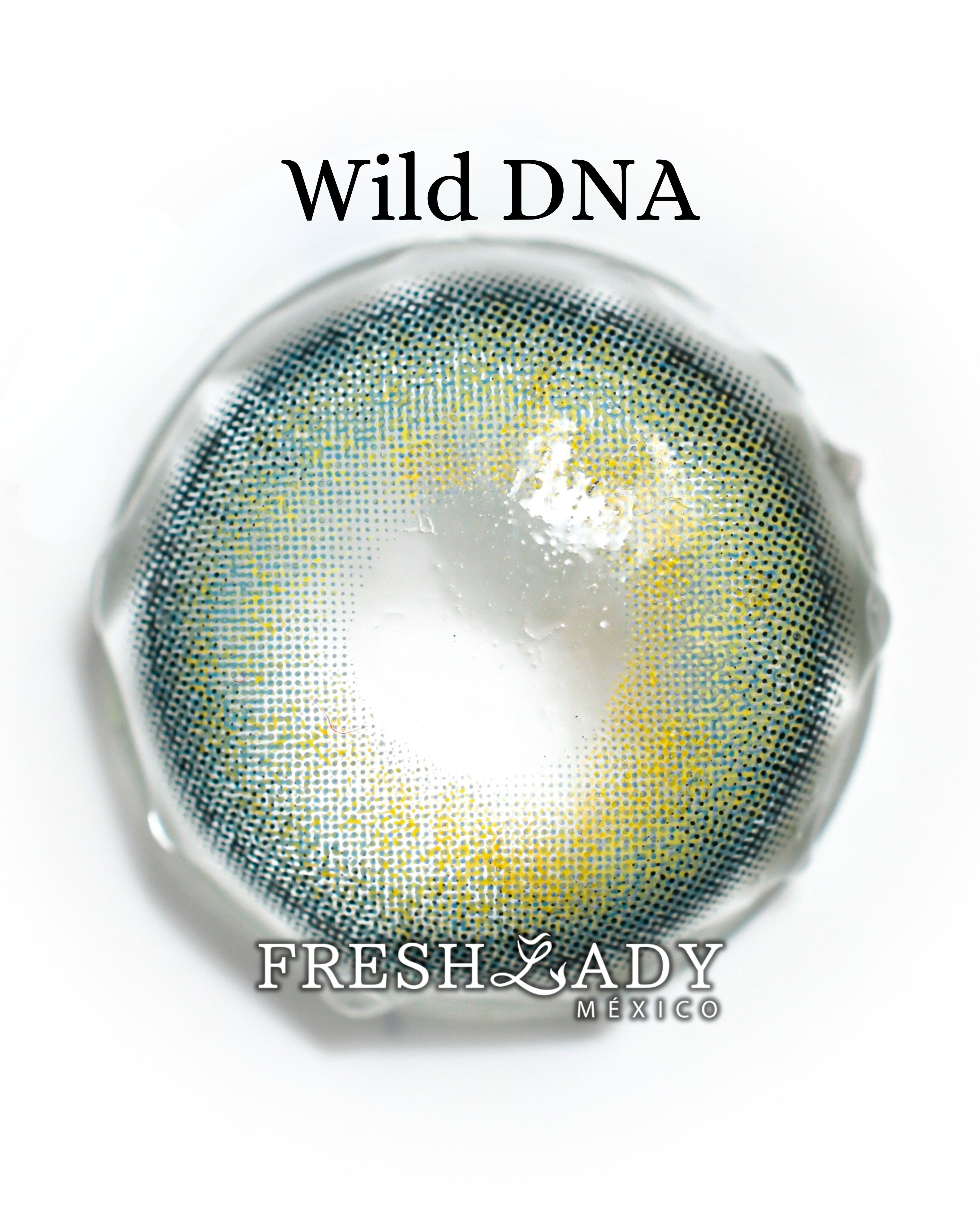 Green Wild DNA: WILDLOOK CAJA de 10 lentes