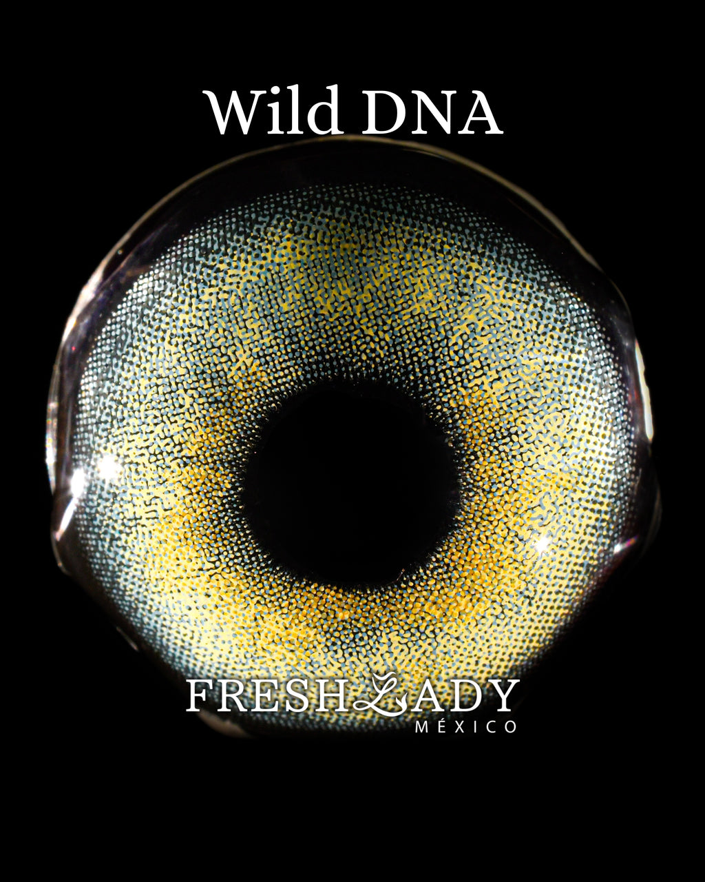 Green Wild DNA: WILDLOOK CAJA de 10 lentes