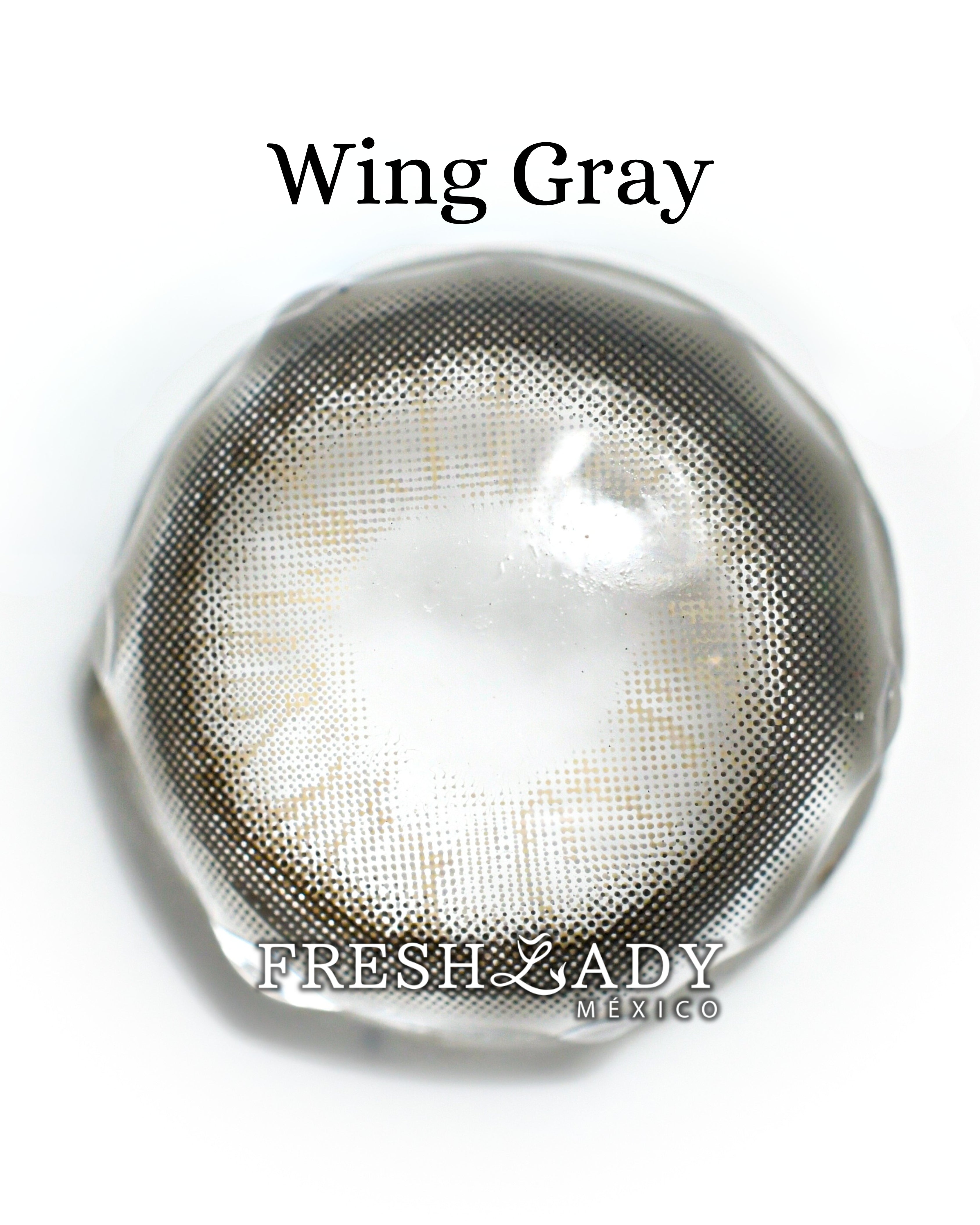 Gray Wing: ANGELIC GLOW CAJA de 10 lentes