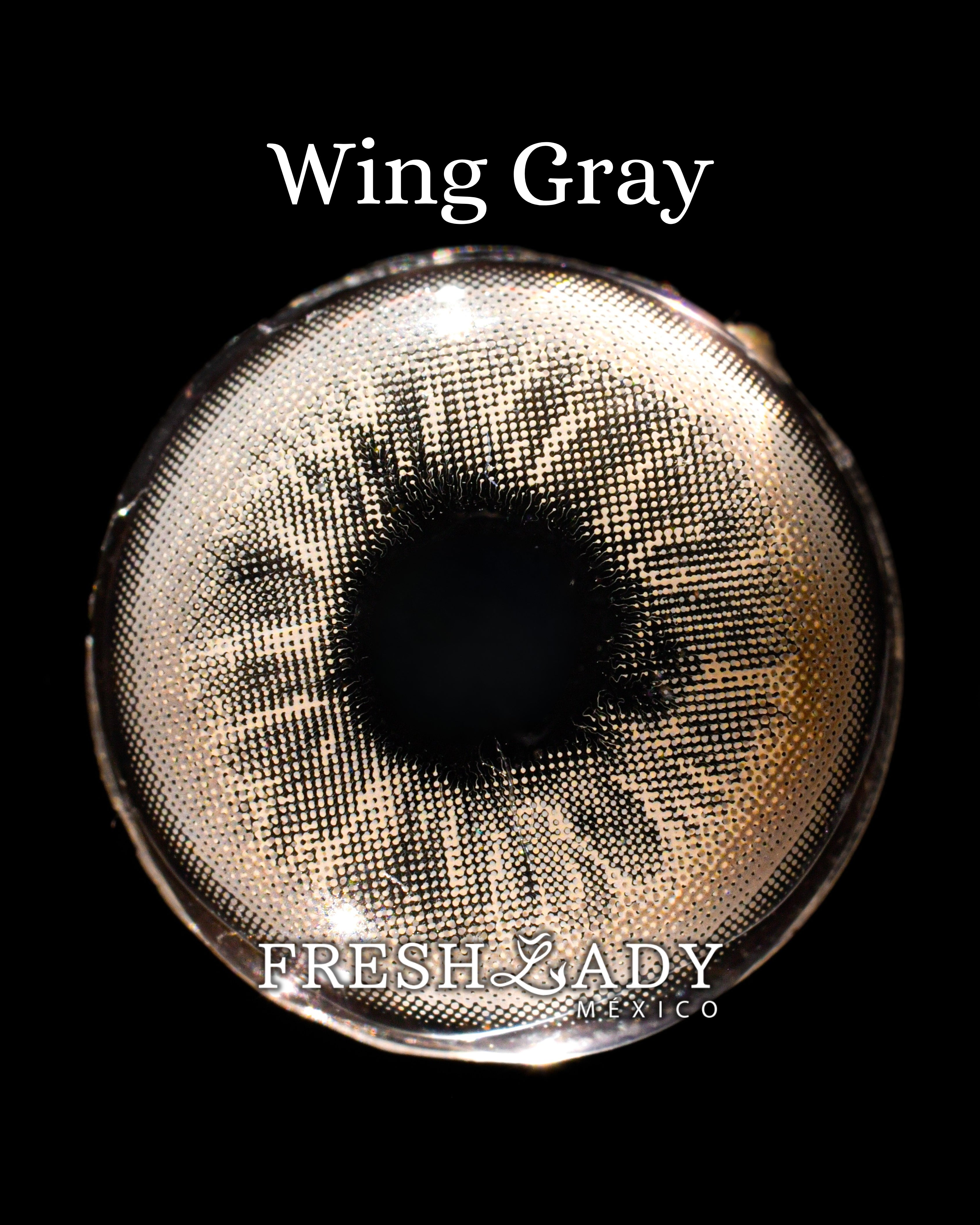 Gray Wing: ANGELIC GLOW CAJA de 10 lentes