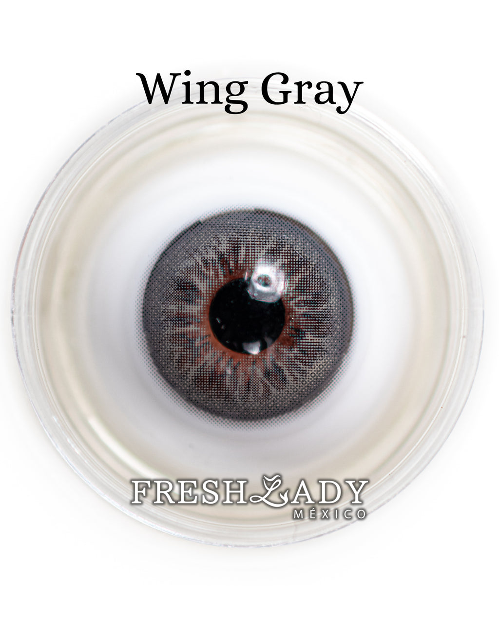 Gray Wing: Angelic Glow